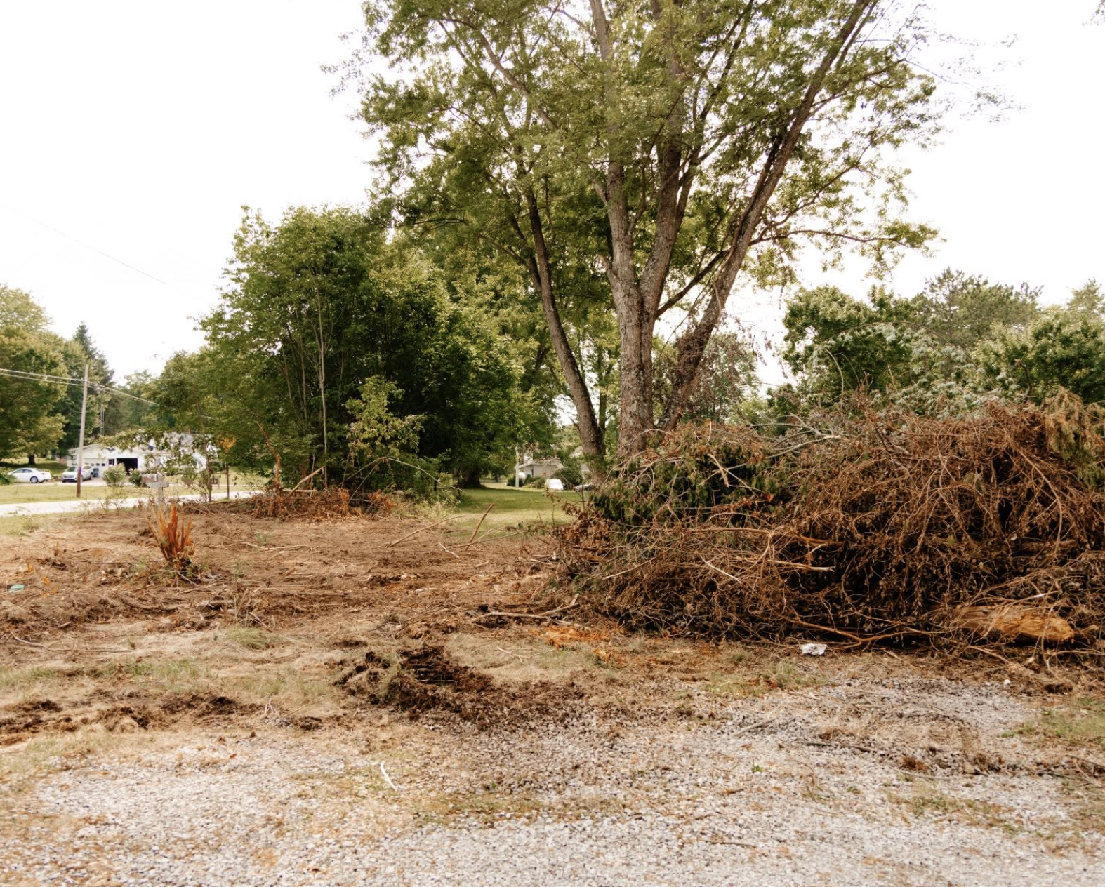 Logan Earthworks performing hazard tree removal to safely clear dangerous trees from property in Ravenna, Ohio.