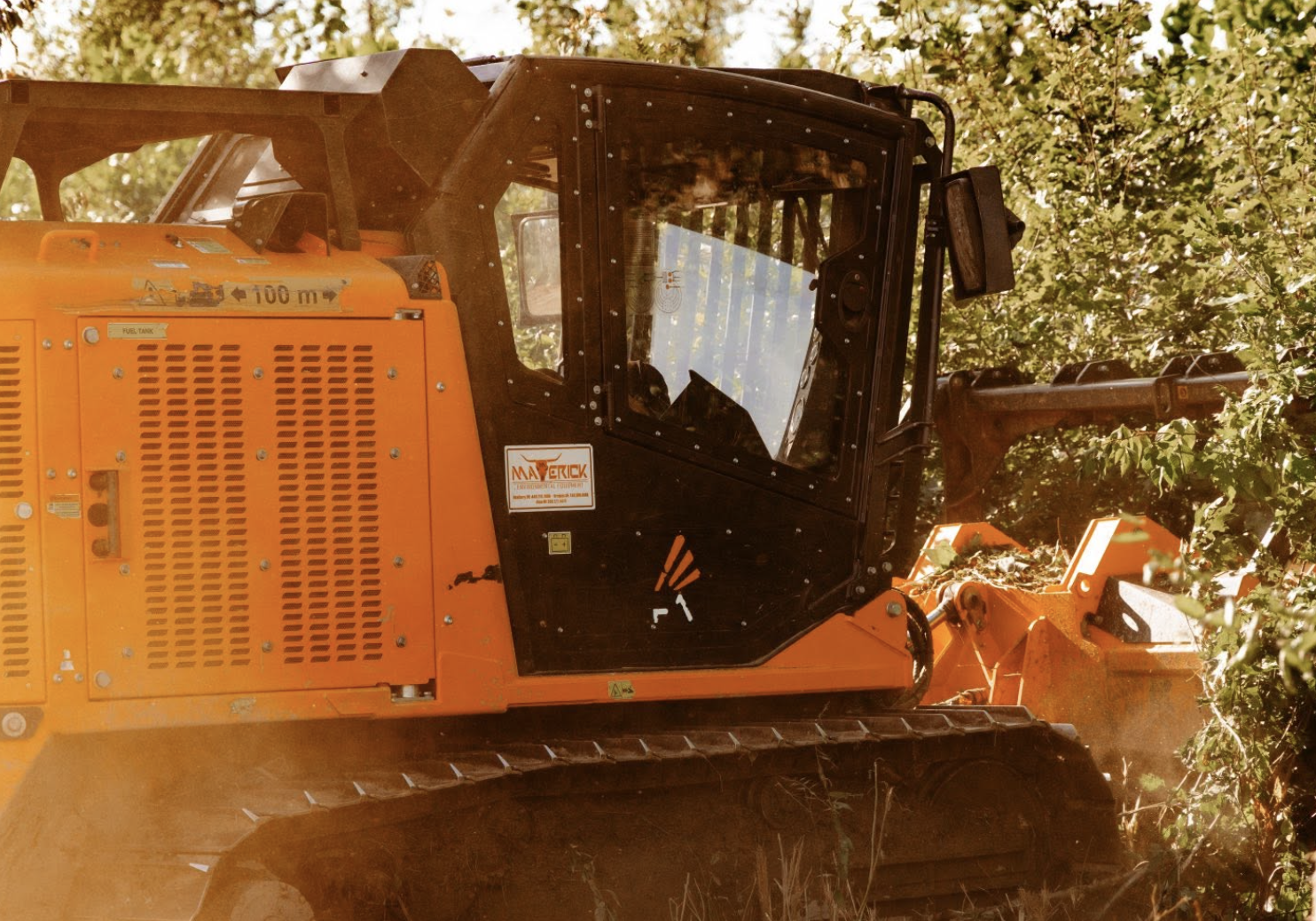 Hazard tree removal safely eliminating dangerous or unwanted trees from residential property near Canfield, Ohio.