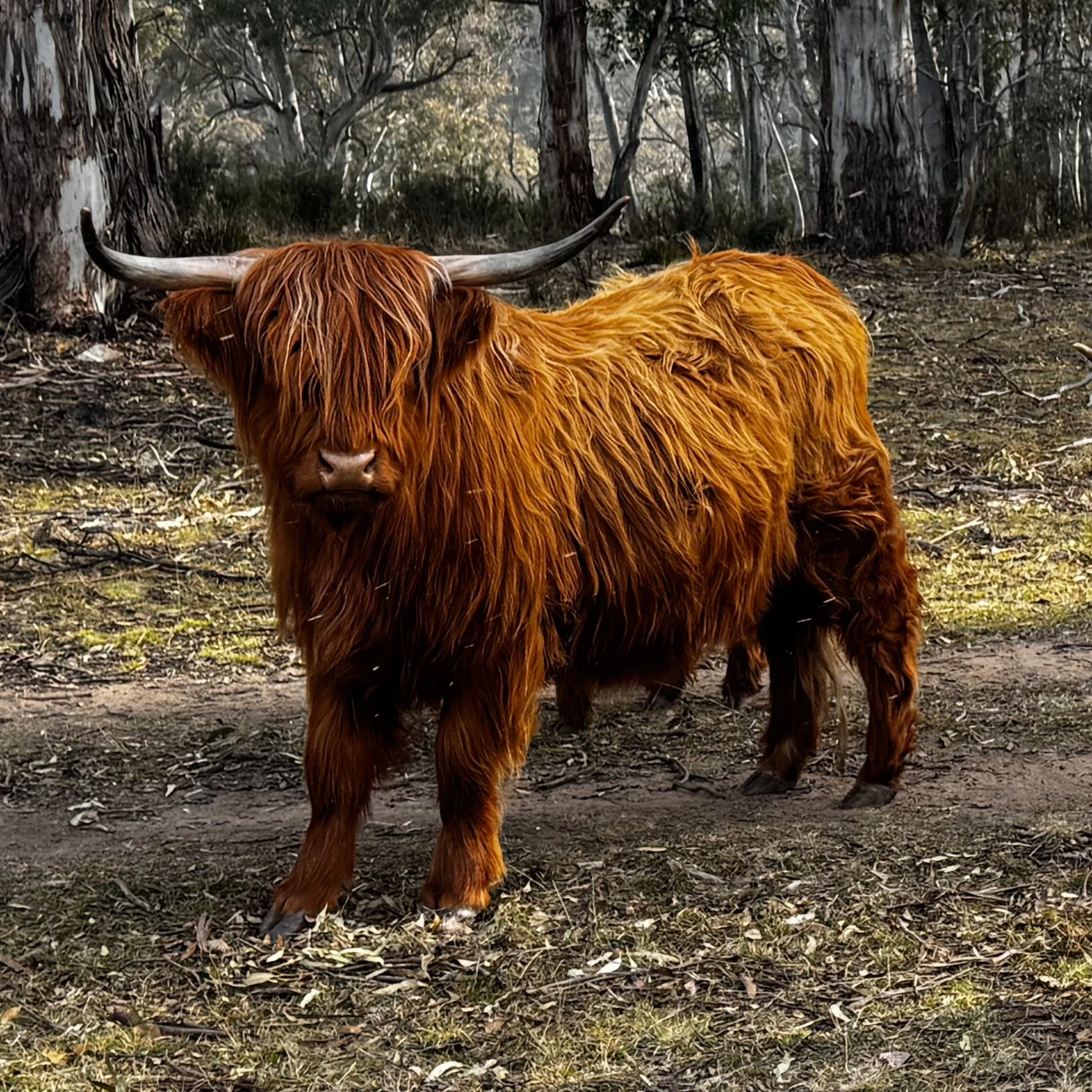 FullSizeRender_VSCO 8.JPG