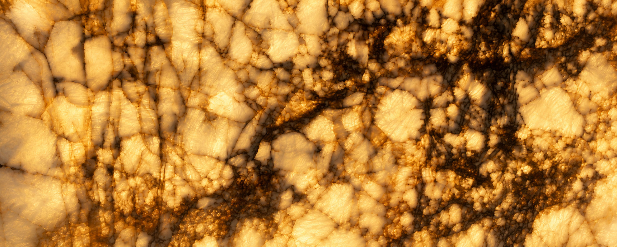 Close-up of a mineral or crystal with a granular, mosaic pattern in shades of white, cream, and brown.