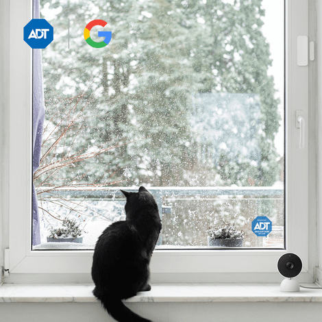 image-a9976cd6-5df7-476d-b730-ddaf4bc288c5.png