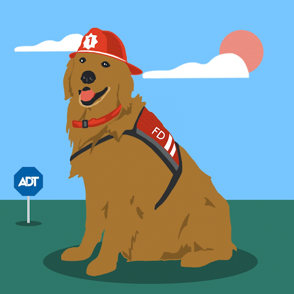 ADT-SafetyPupDay_IGVideo.gif