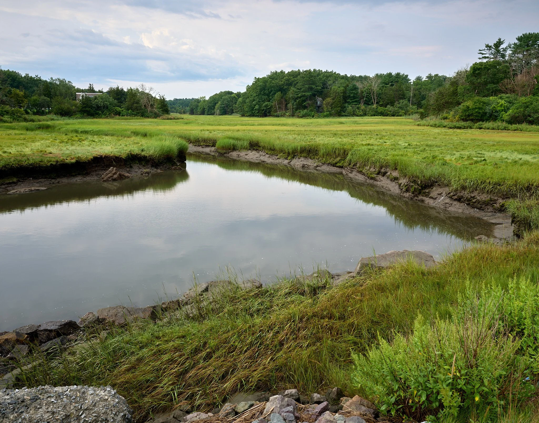 A landscape scene with a small creek flowing through grassy marshland, bordered by rocks and lush green trees under a mostly cloudy sky.
