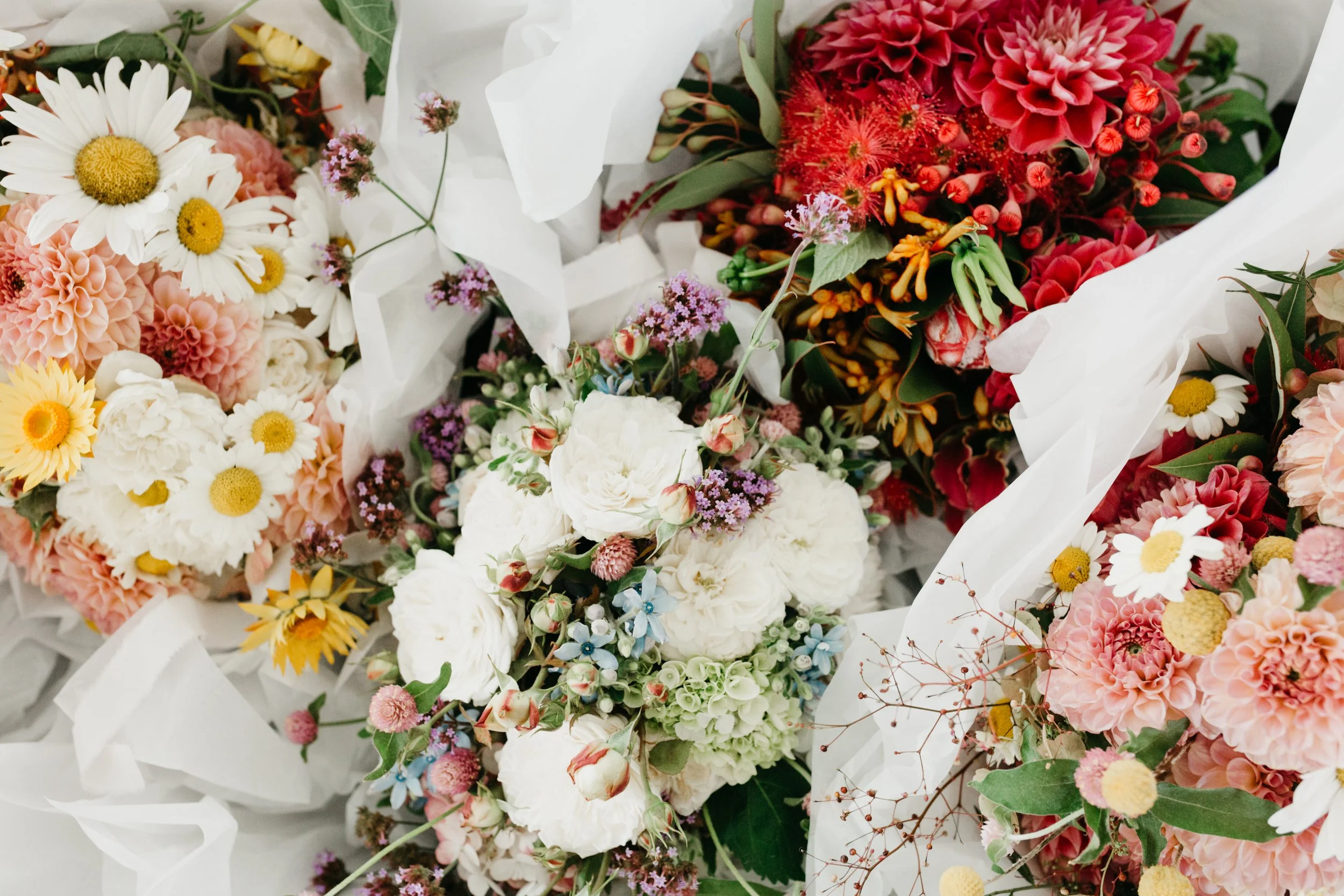 Melia_and_Tom's_Wedding_-23.jpg