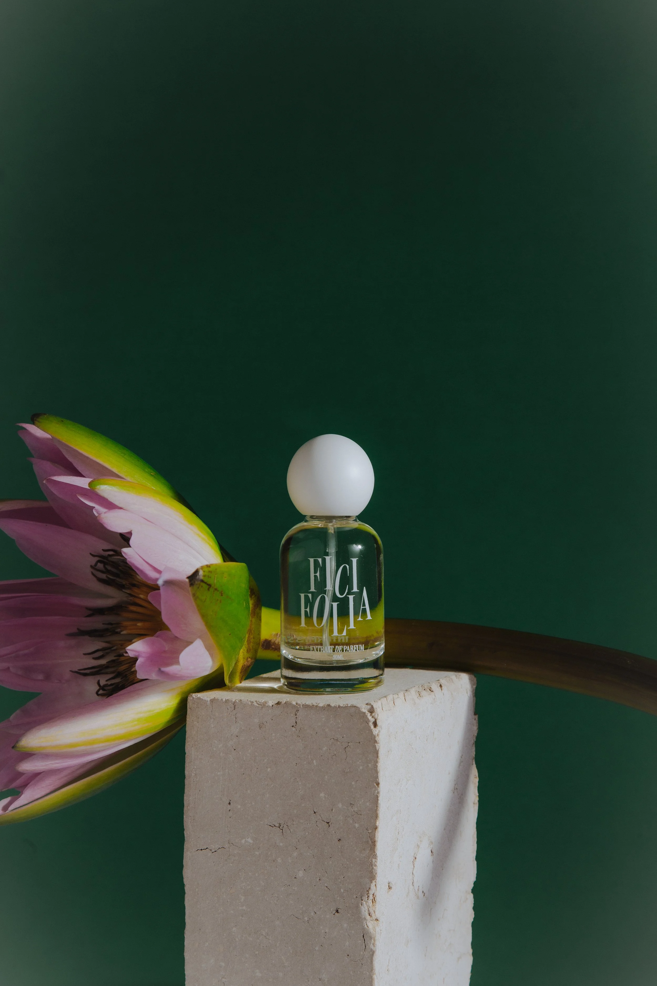 Fici at home-47.jpg