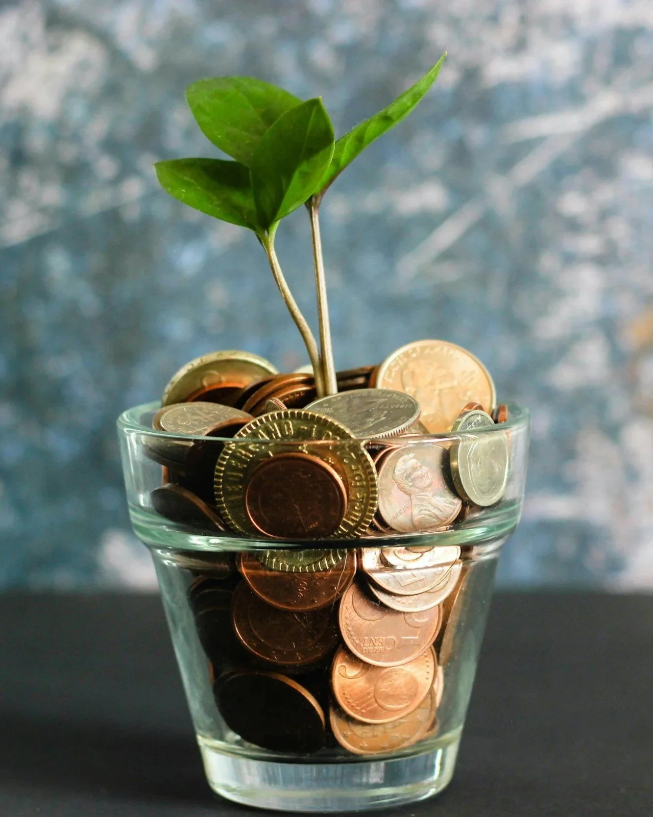 A glass filled with coins, with a small green plant growing out of the top, set against a blurred background.