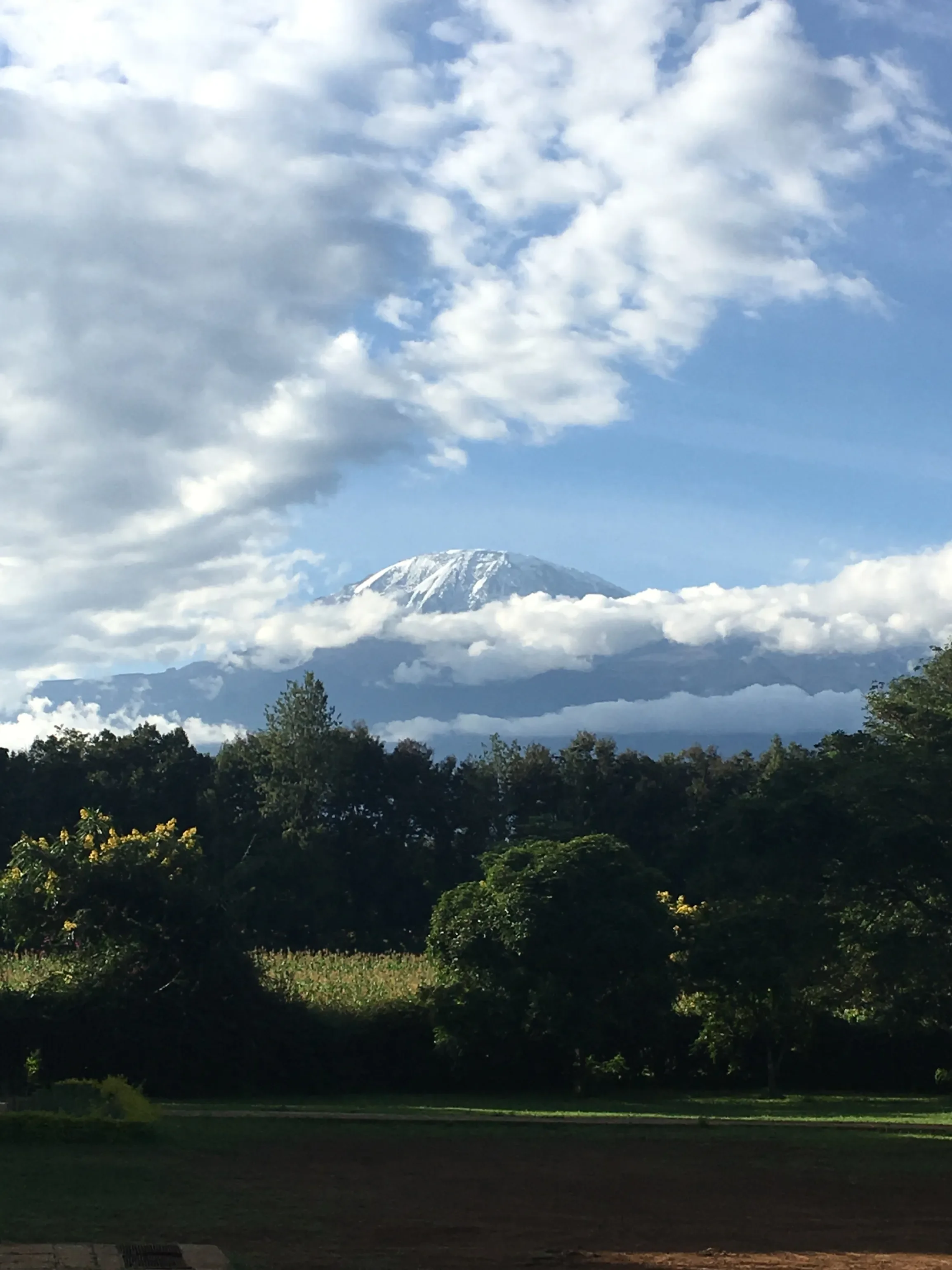 kilimanjaro.webp