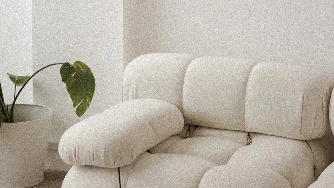 White modern sofa with curved cushions next to a potted plant with large green leaves in a white pot.