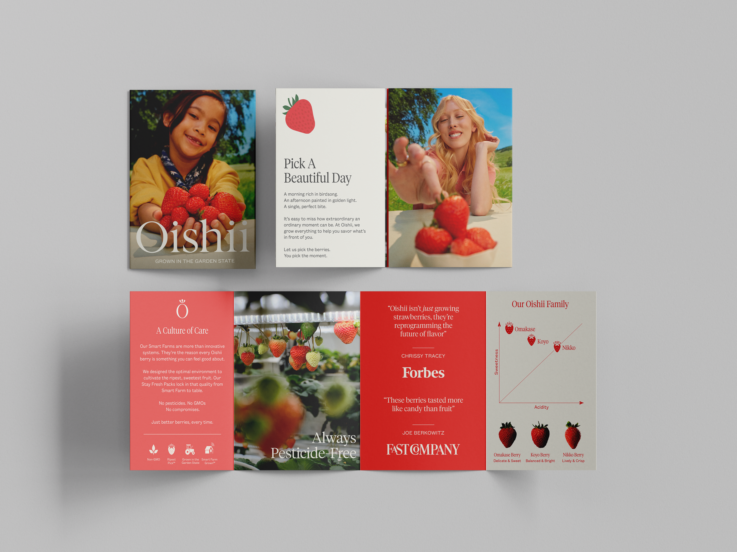 Quad_Brochure_Mockup_5.png