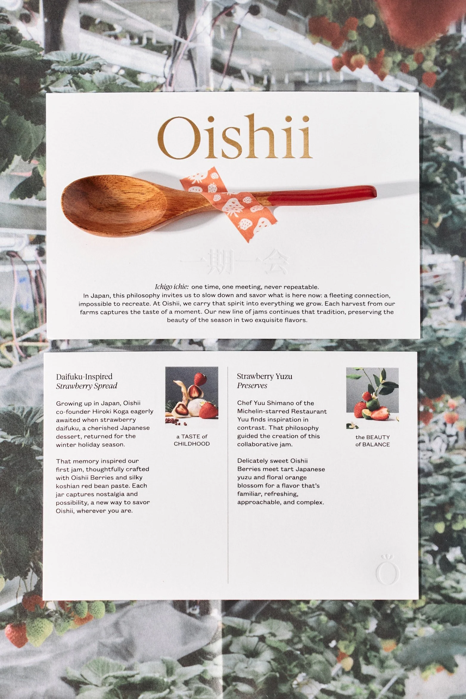 Oishii_PremiumPreserves_Packaging_2025_036.jpg