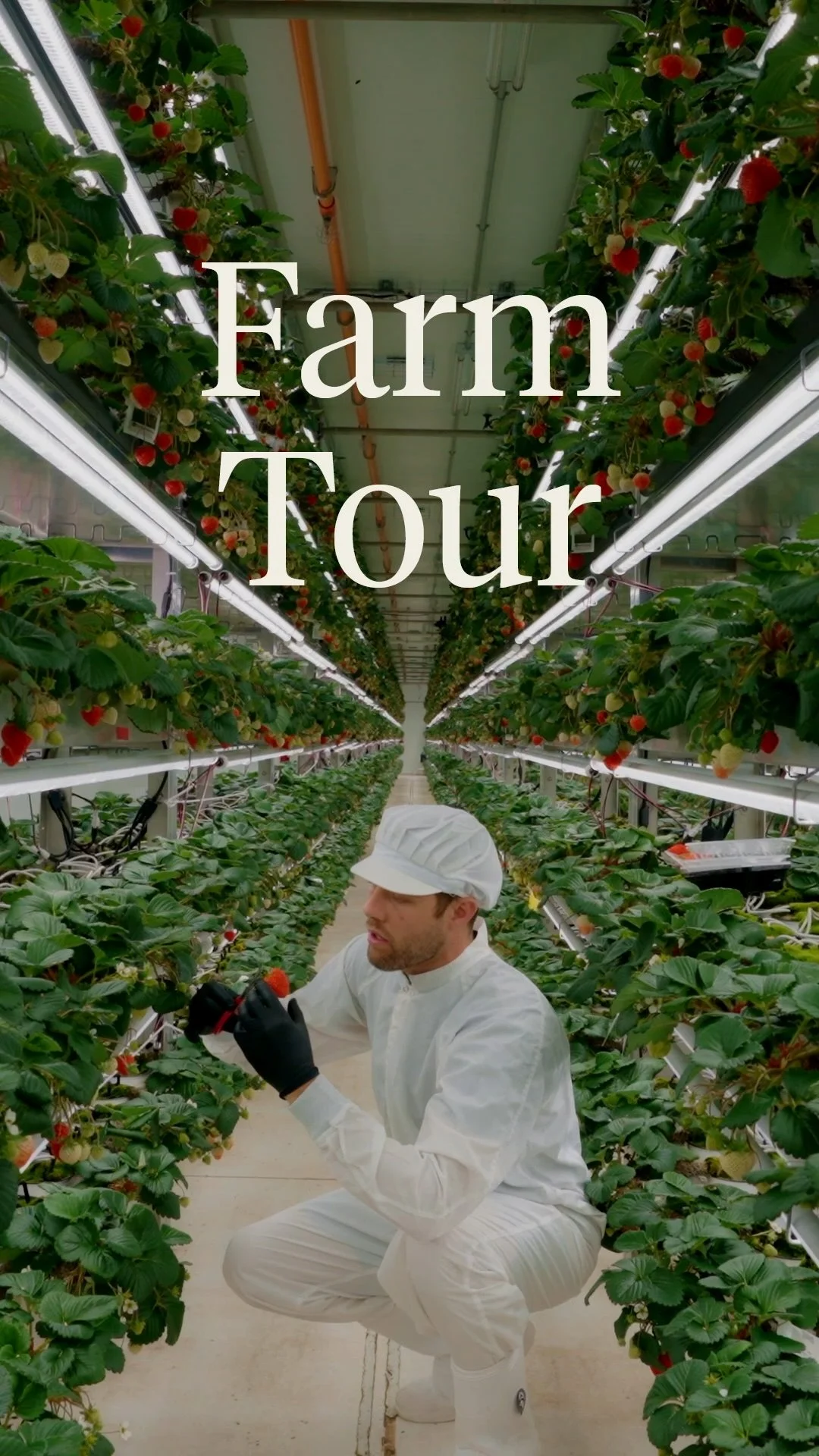Farm Tour Reel
