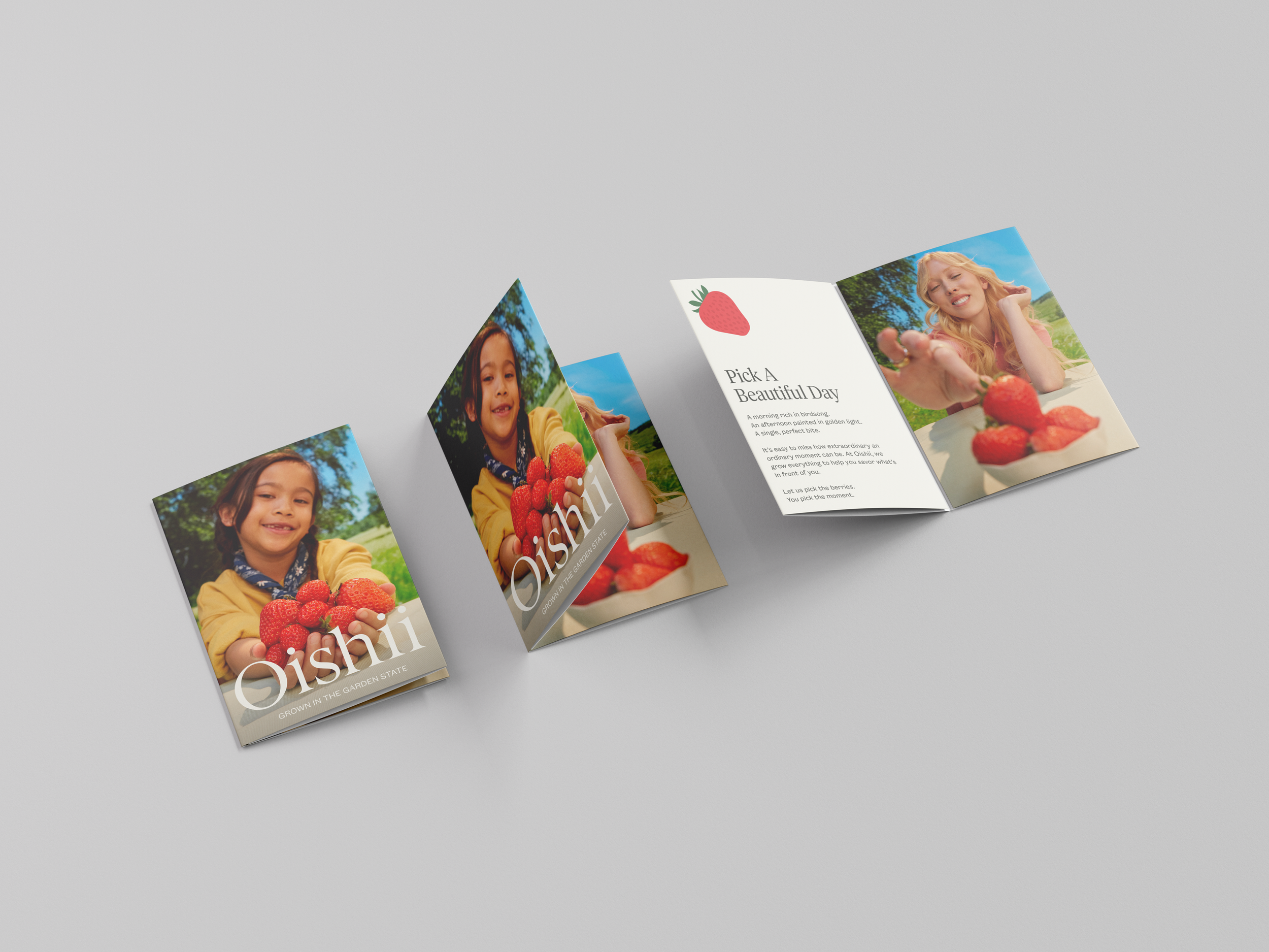 Quad Fold Brochure
