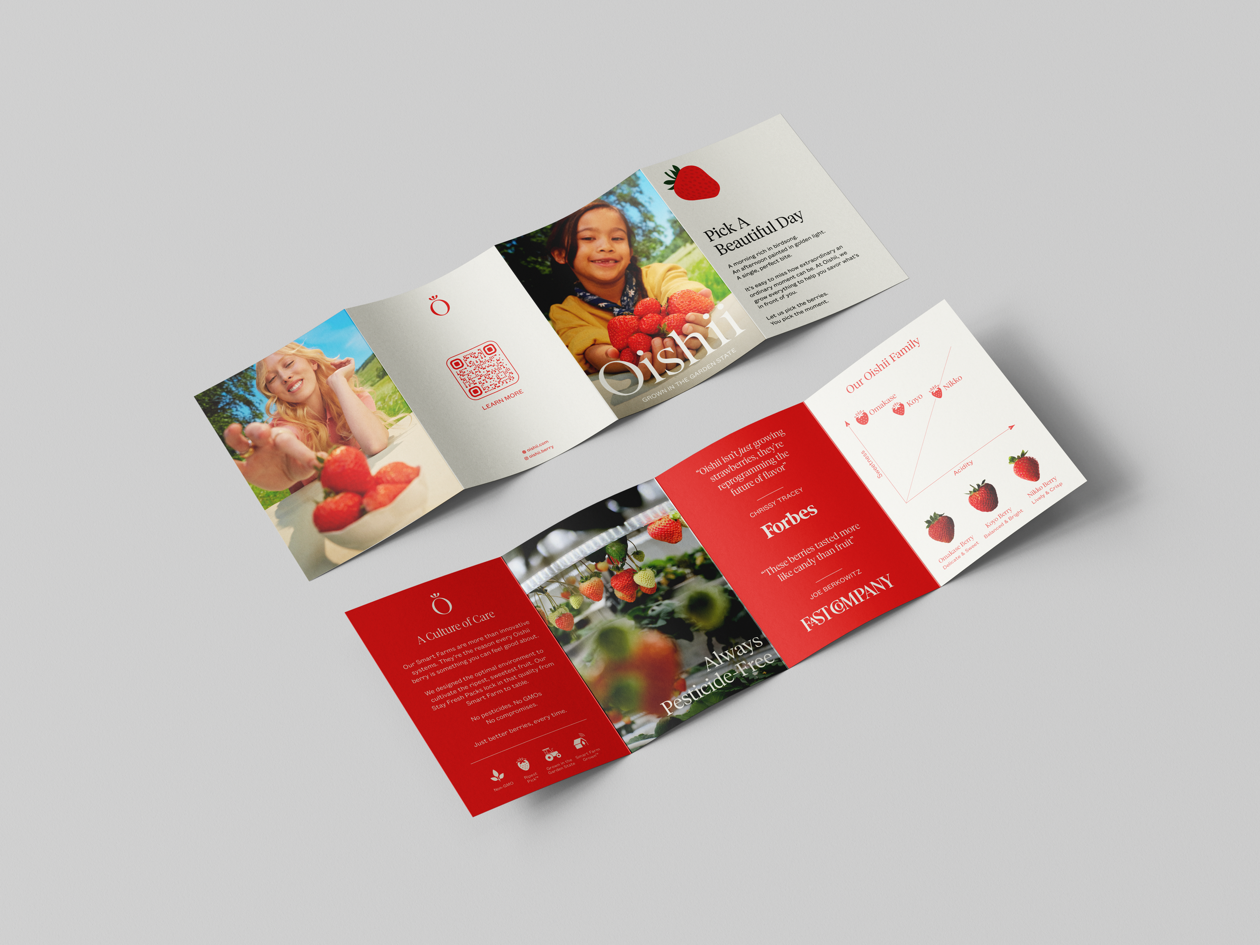 Quad_Brochure_Mockup_4.png