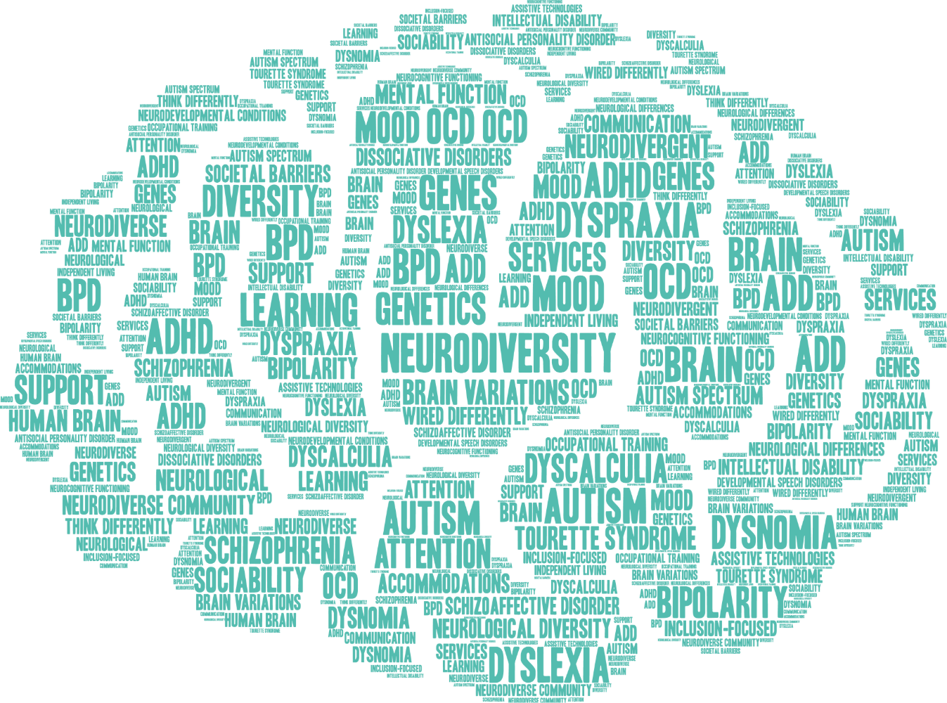 Human head silhouette formed from neurodiversity-related words including ADHD, autism, dyslexia and neurodivergence, representing neuroaffirming Developmental Education and support in the Adelaide Hills.
