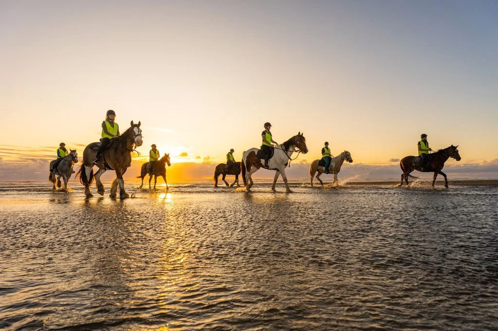 Group of horseback riders crossing shallow ocean water at sunset on a beach