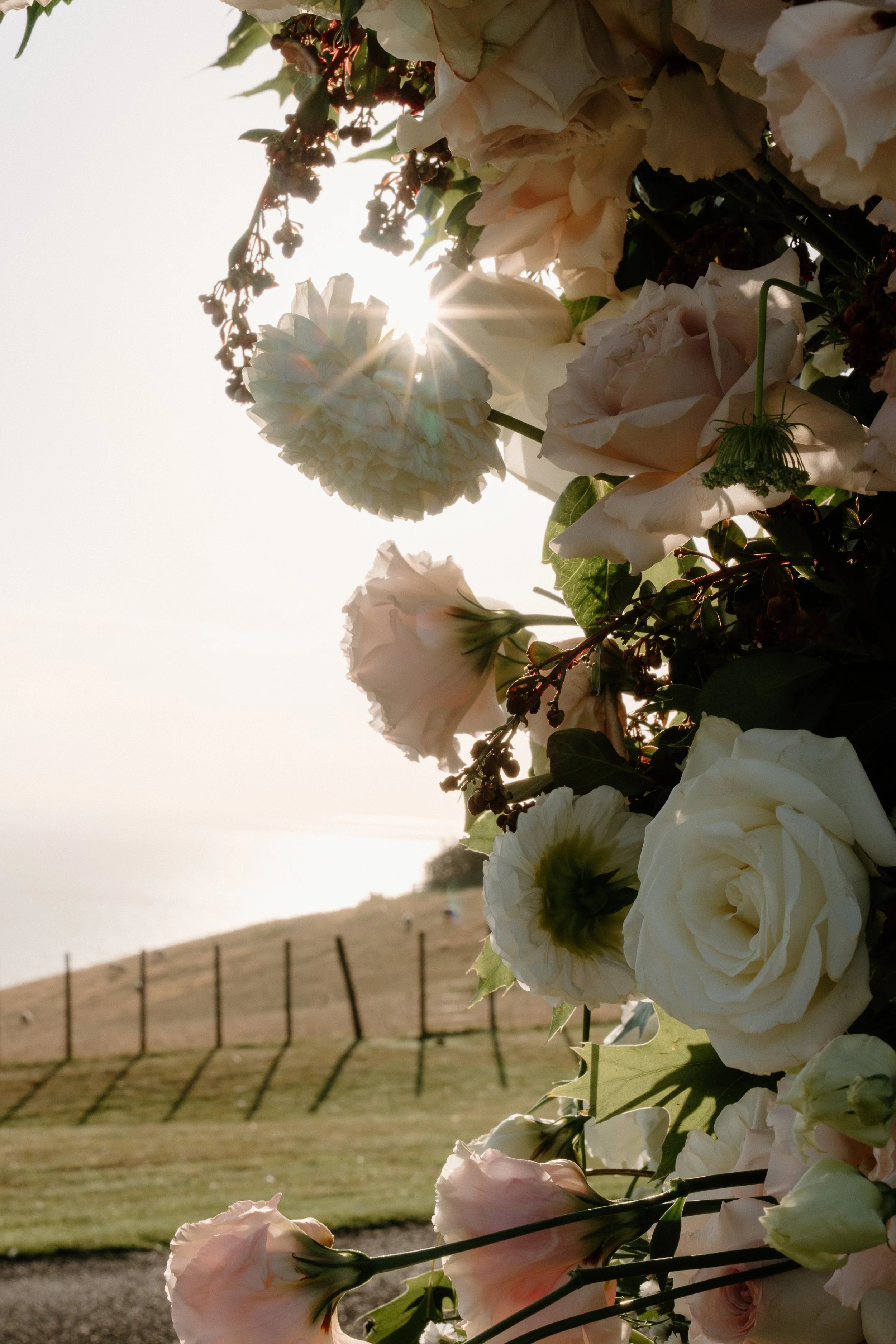 Backlit bouquet of white and blush pink flowers with green foliage, photographed outdoors at sunset.