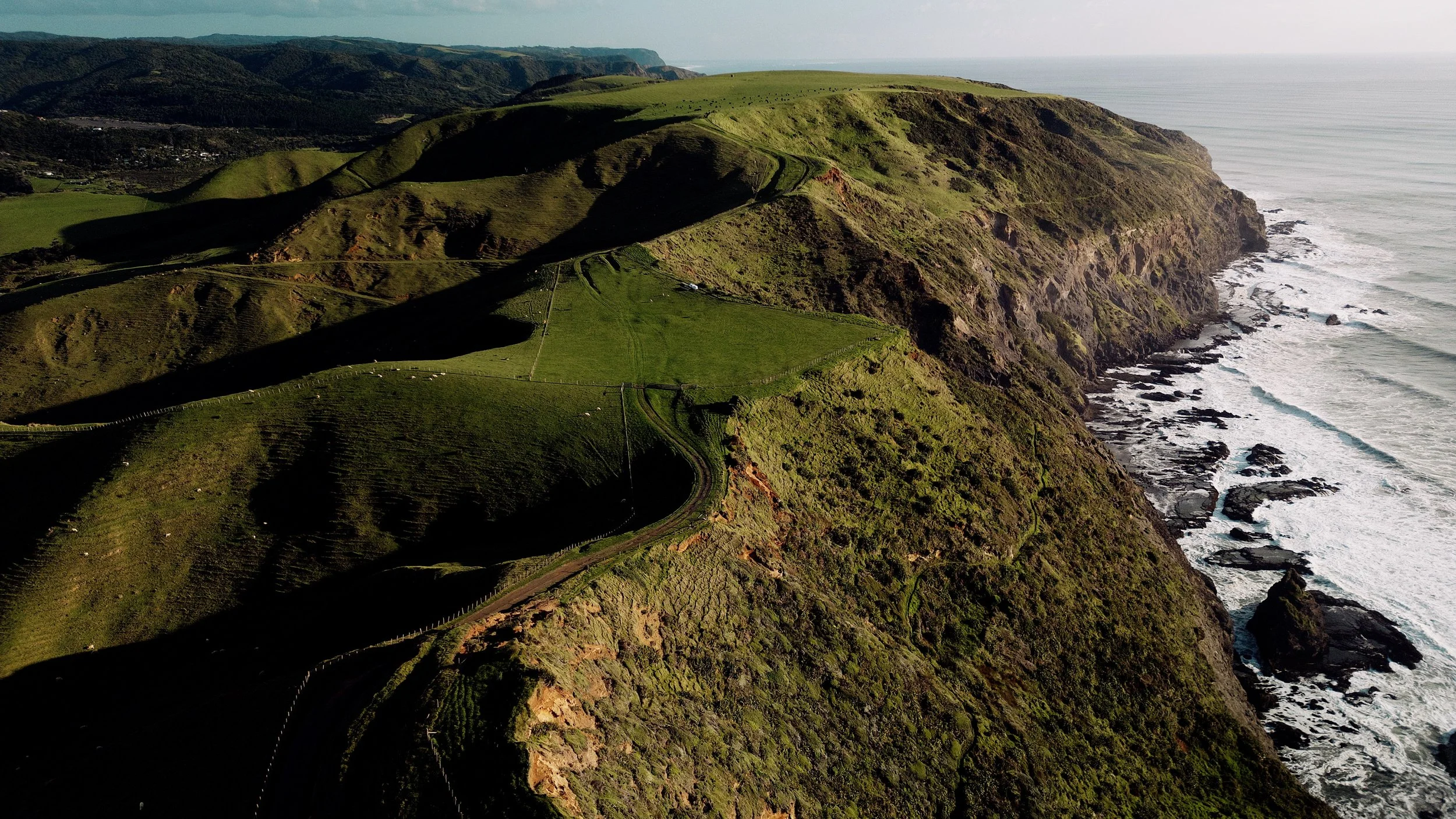 Aerial view of green coastal cliffs, rolling pastureland with sheep, and waves breaking along a rocky shoreline