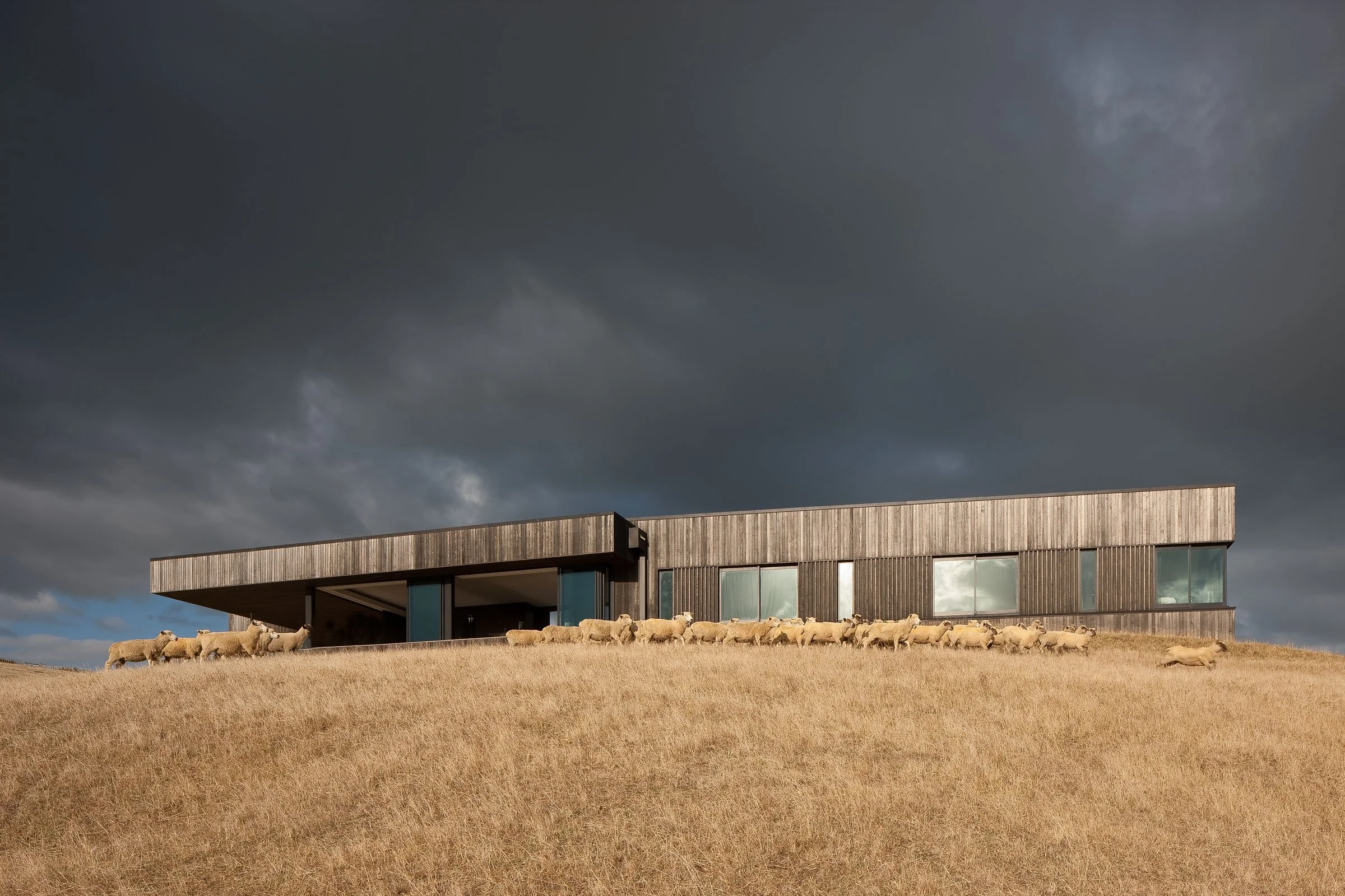 Modern wood-clad house on a grassy hillside with a flock of sheep under dark storm clouds