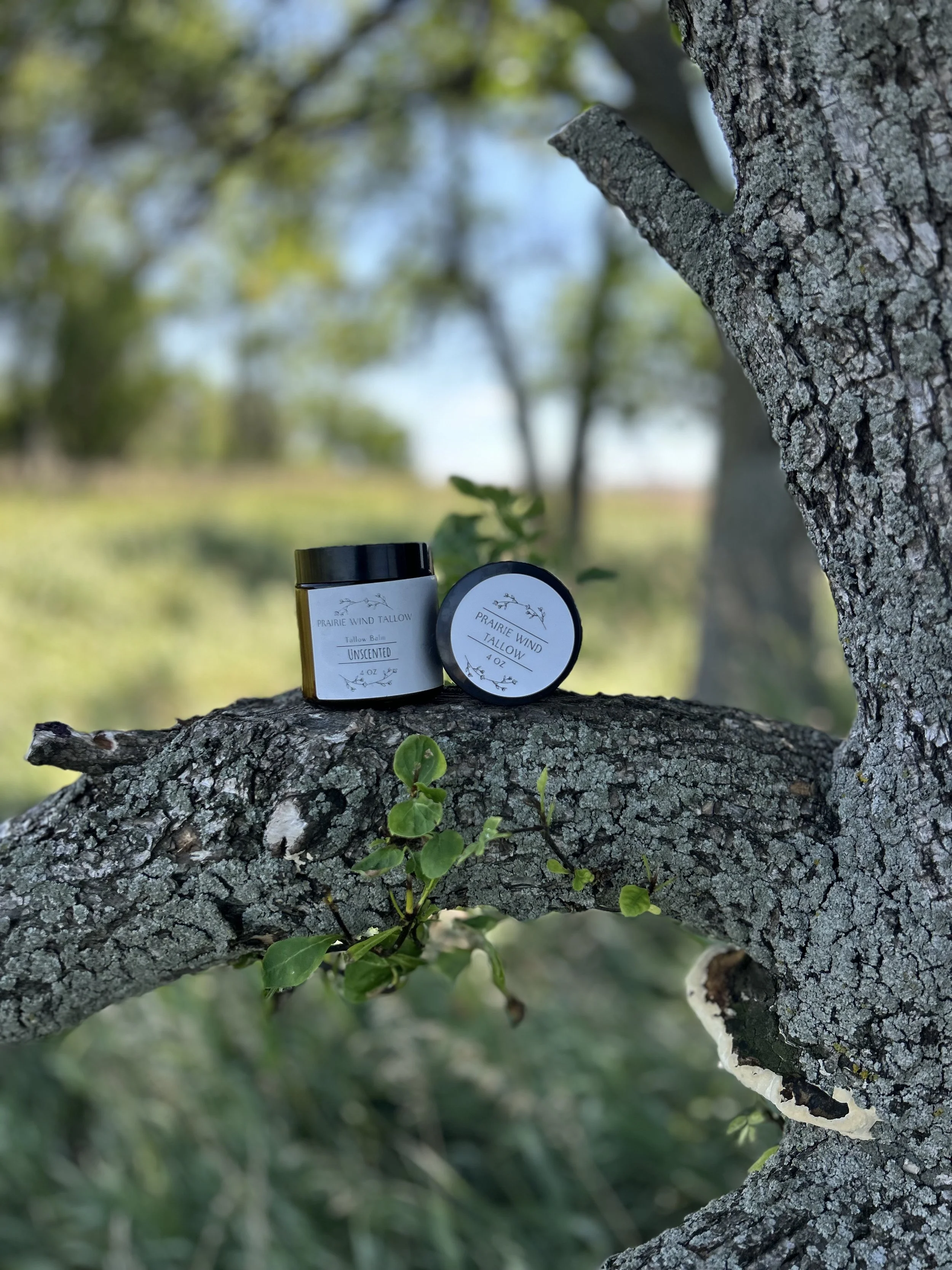 unscented balm.jpeg
