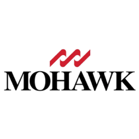 Cybersecurity logo with a red shield and an arrow, accompanied by the text 'Malicious Attack' in black.