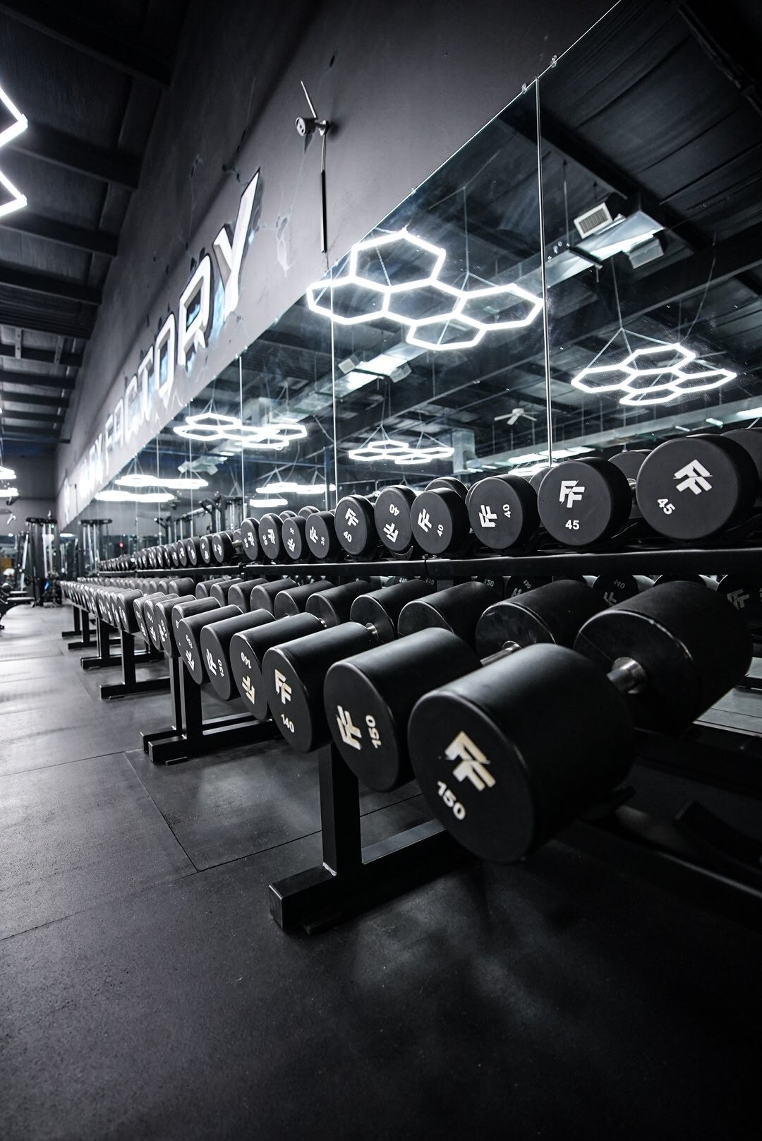 Dumbbell rack - Flex Factory Urbandale