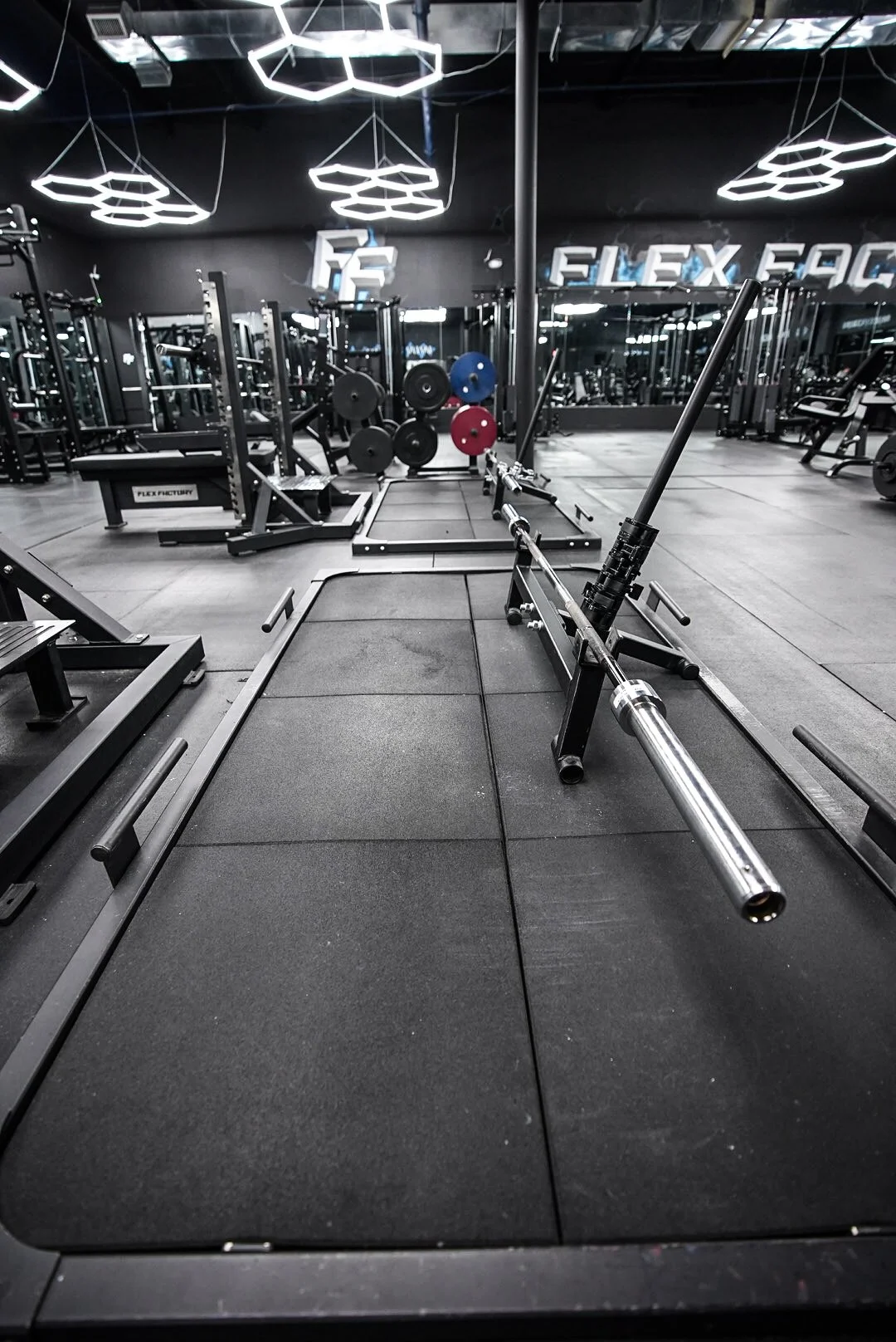 Powerlifting section - Flex Factory Gym