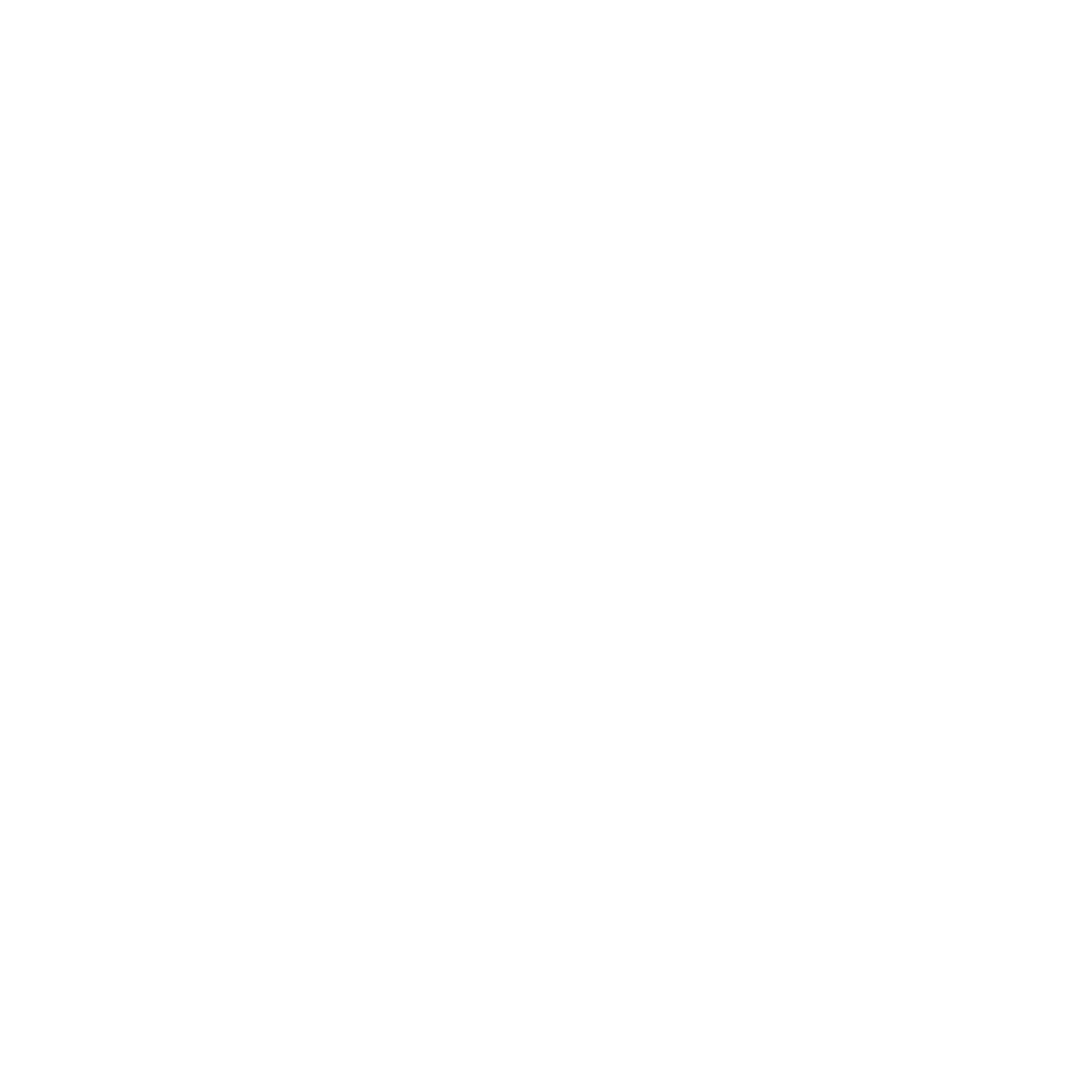 MegaMass Gym Equipment