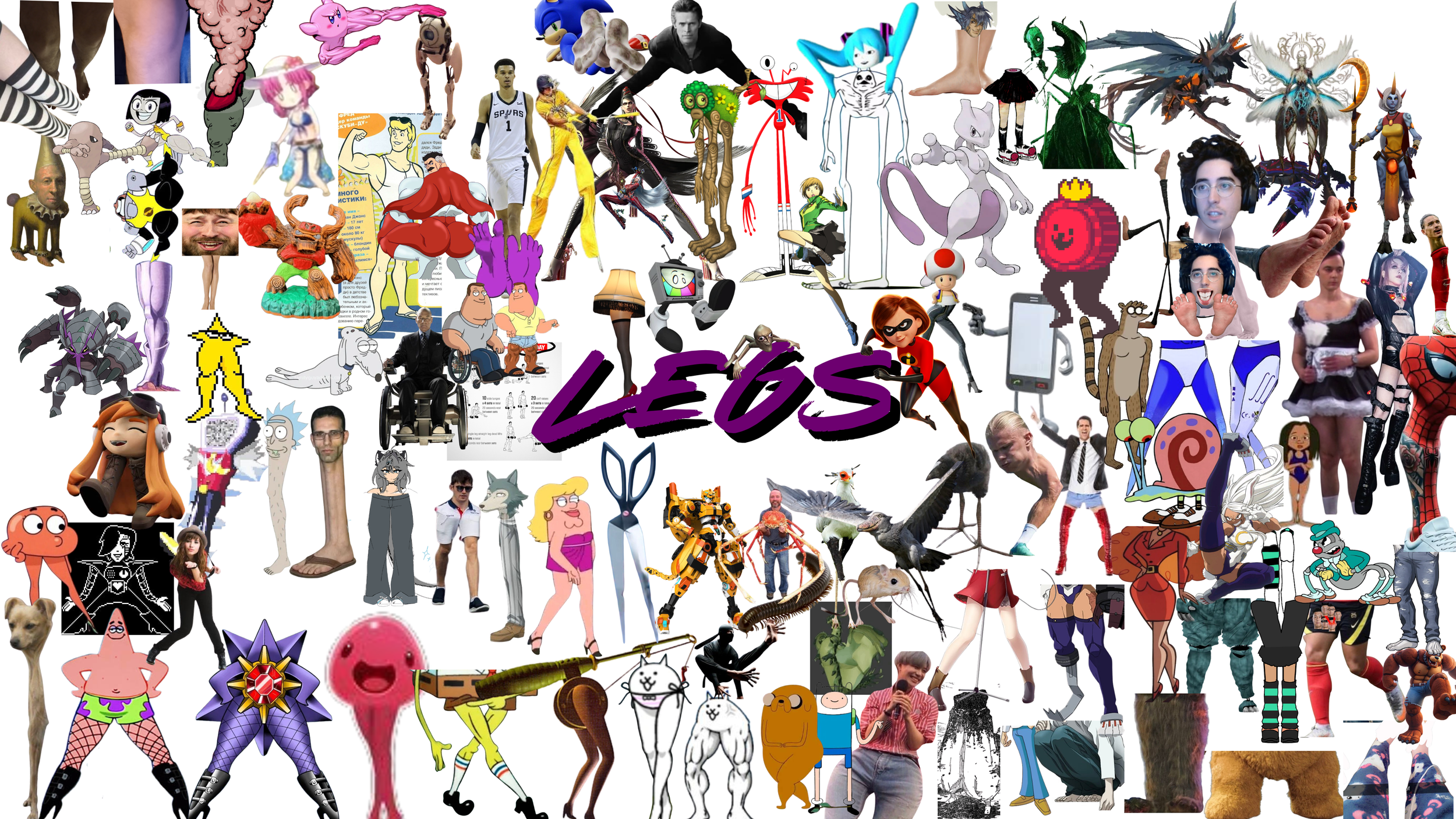 Legs
