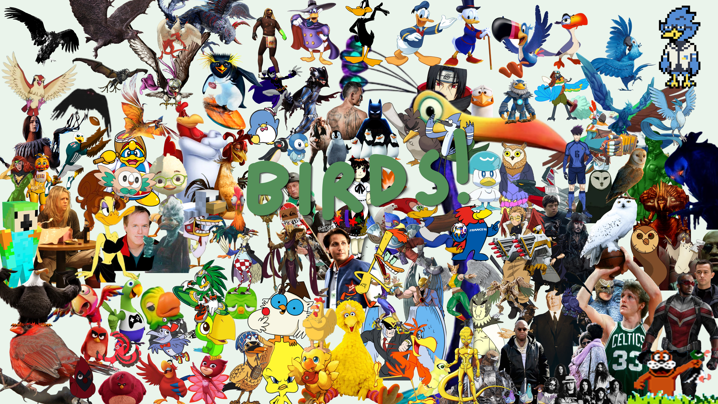 Birds