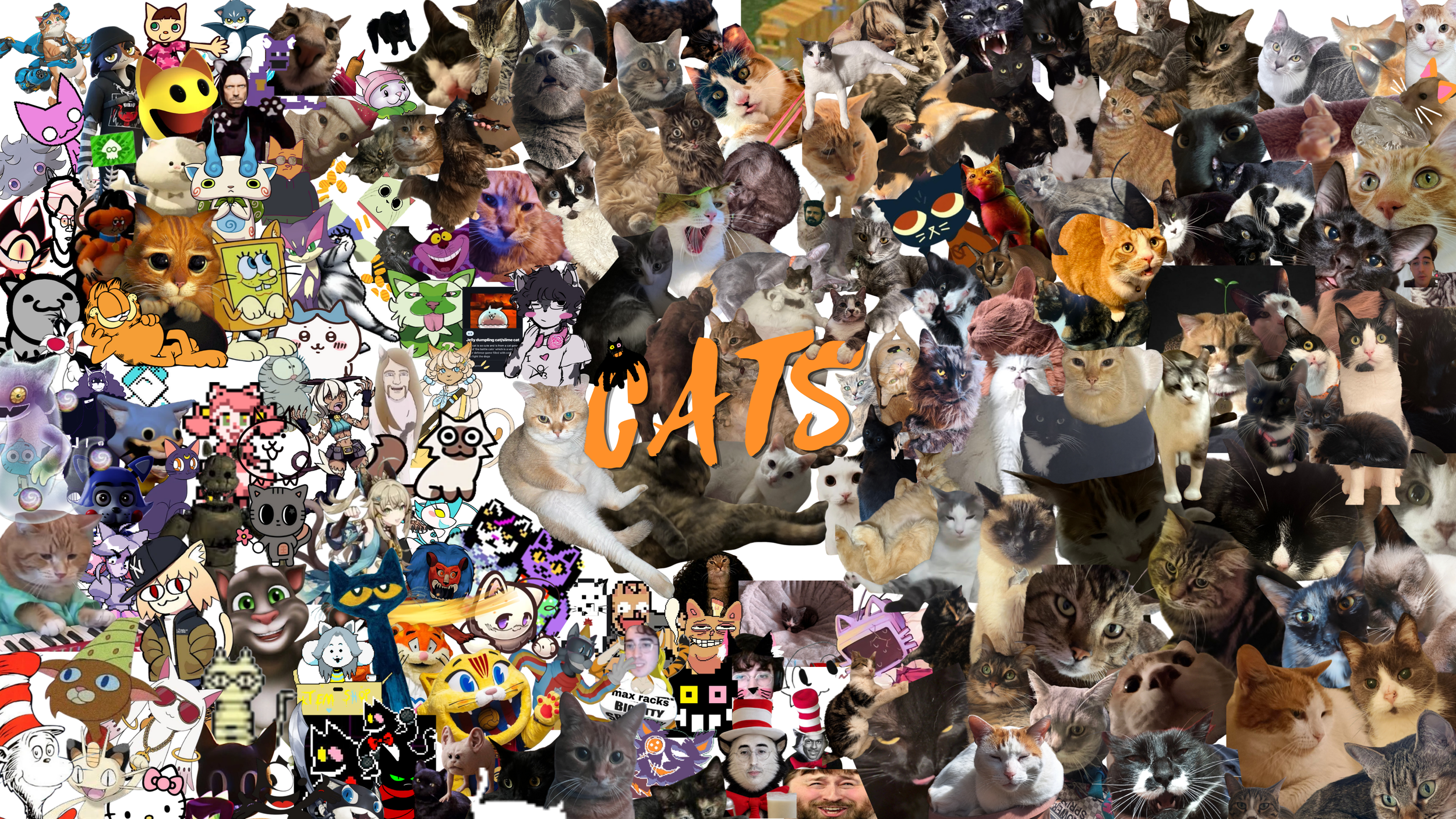 Cats