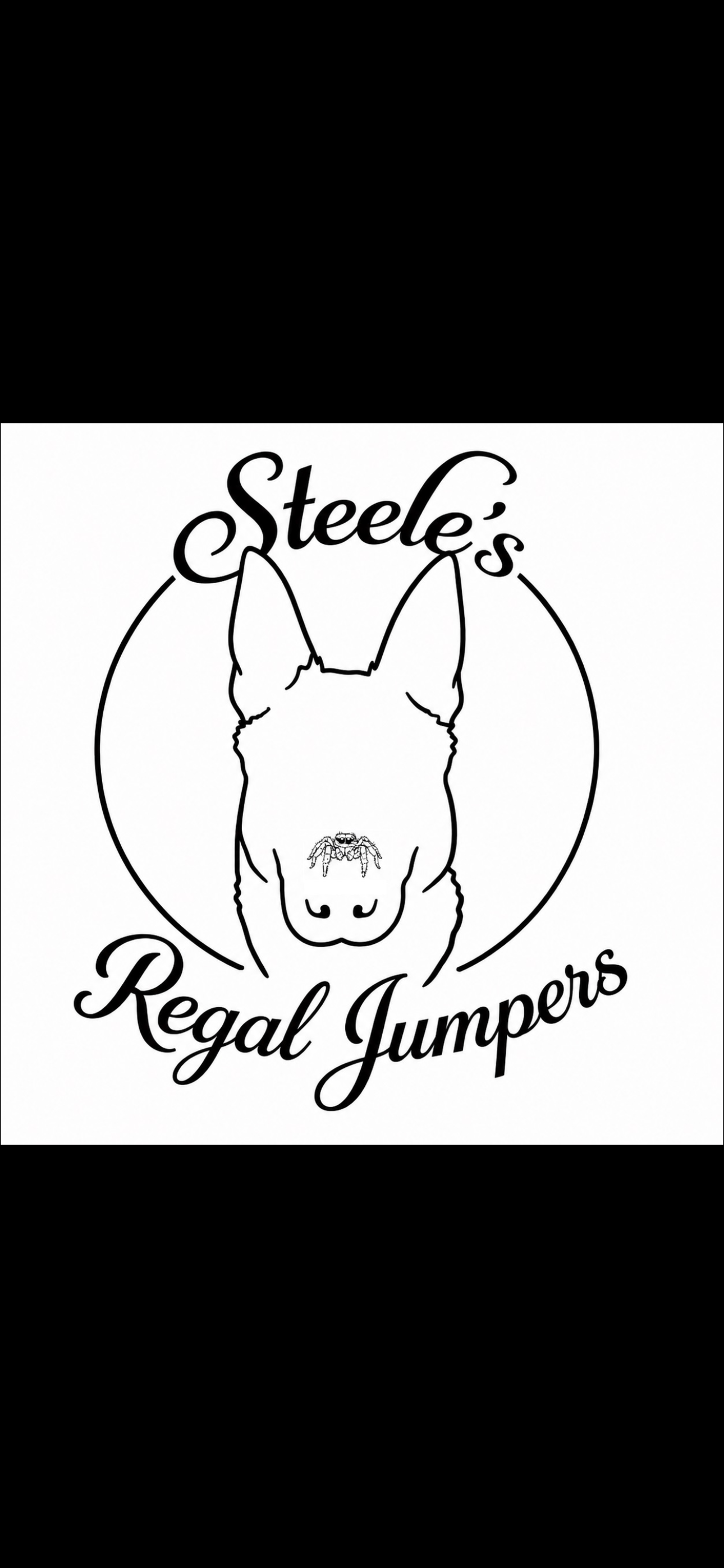 Steeles Regal Jumpers