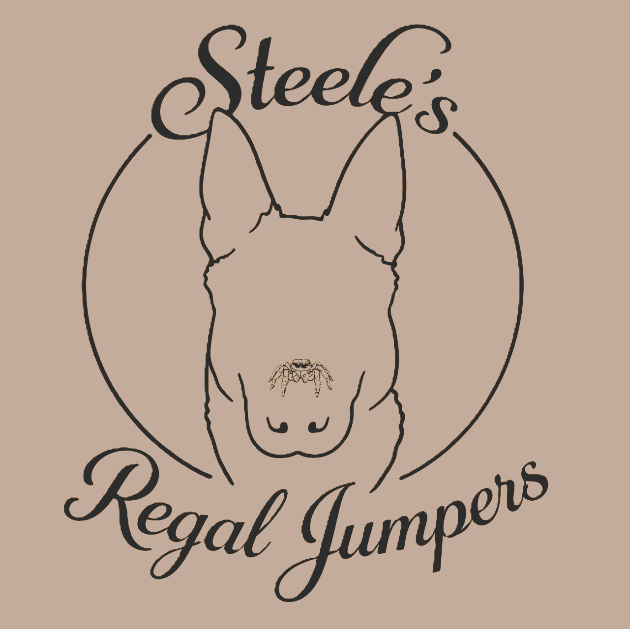 Steeles Regal Jumpers