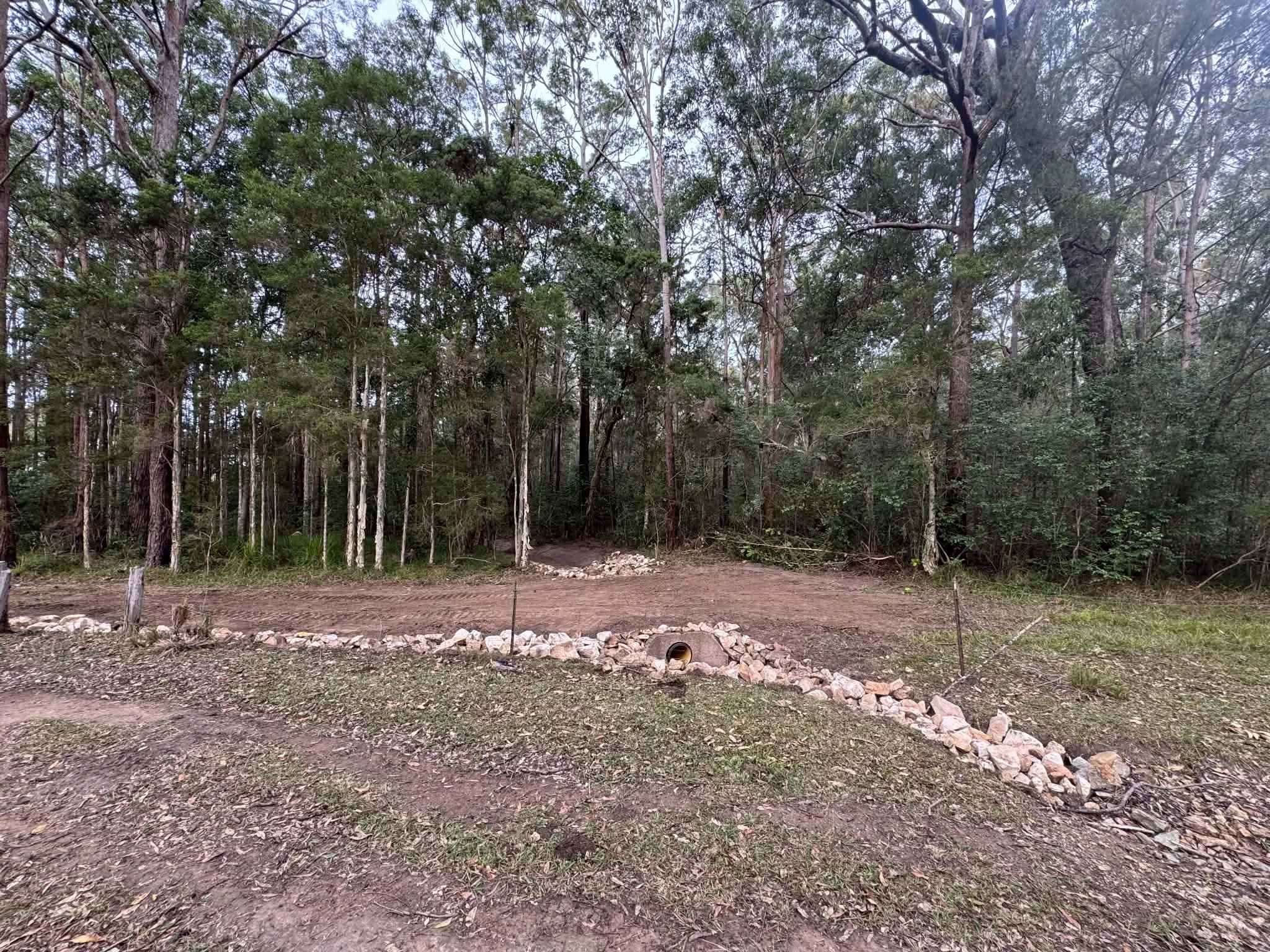 A wooded area with tall trees, a dirt trail in the foreground, and a small construction pipe embedded in the ground near a pile of rocks.