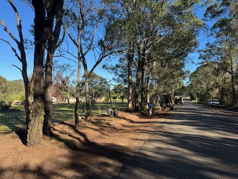 A park scene with trees and a dirt area alongside a paved road, with people working and parked cars in the background.