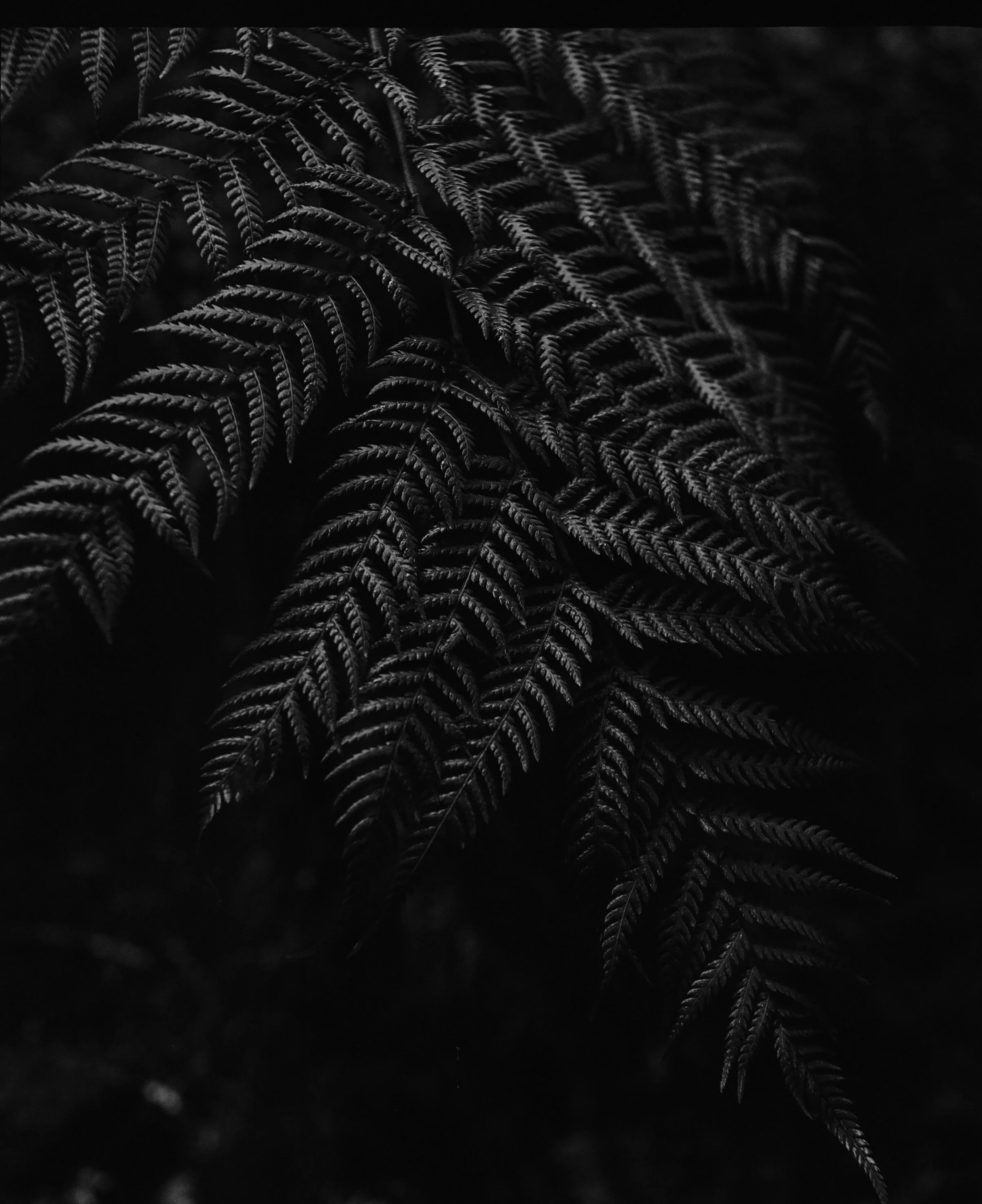 000201500008.jpg
