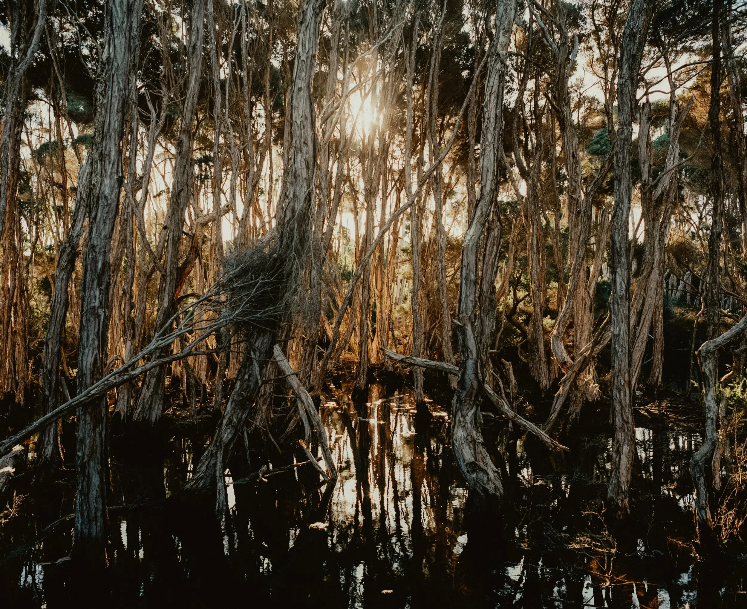 000198640002.jpg