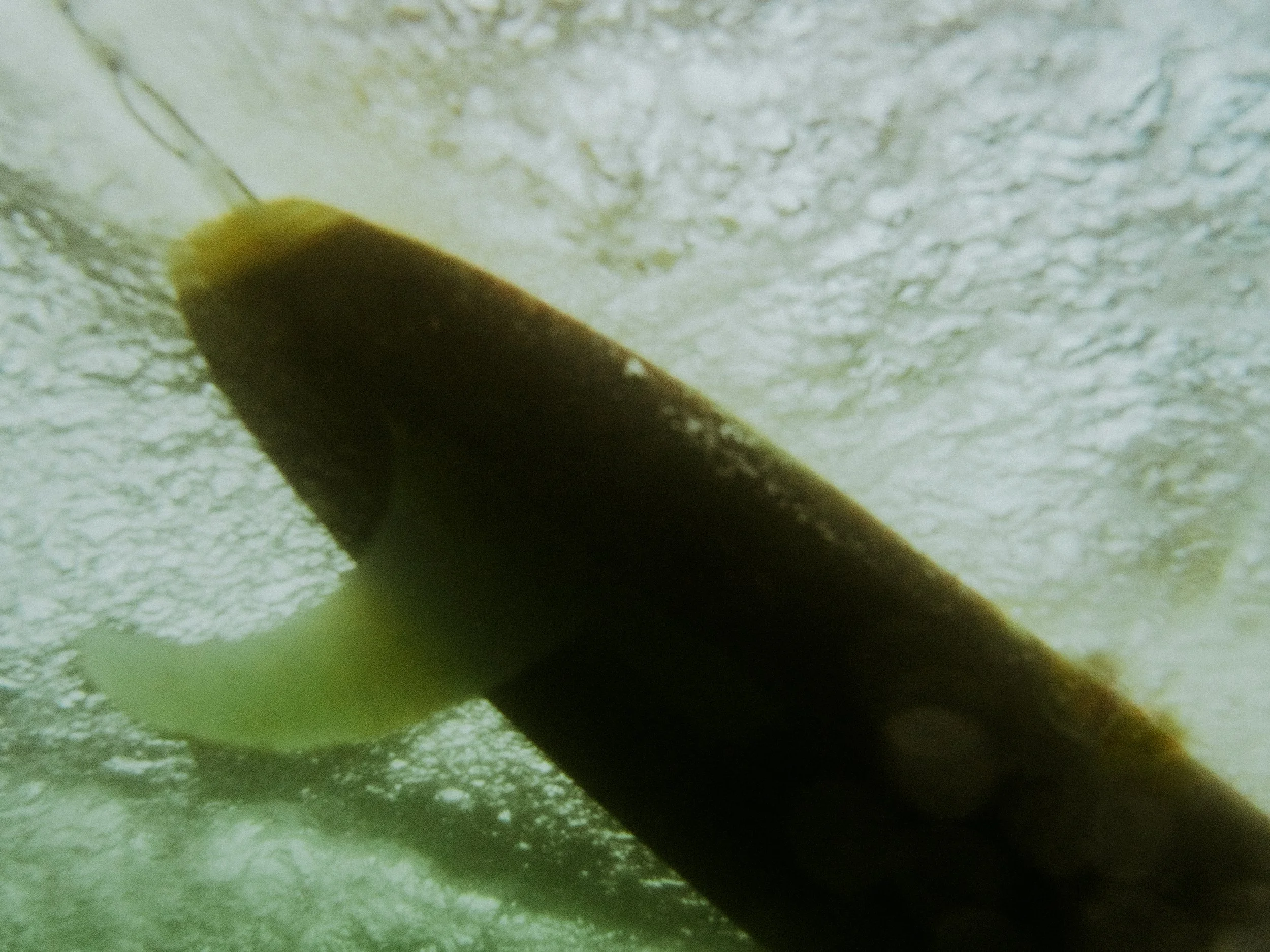 20251217-9.jpg