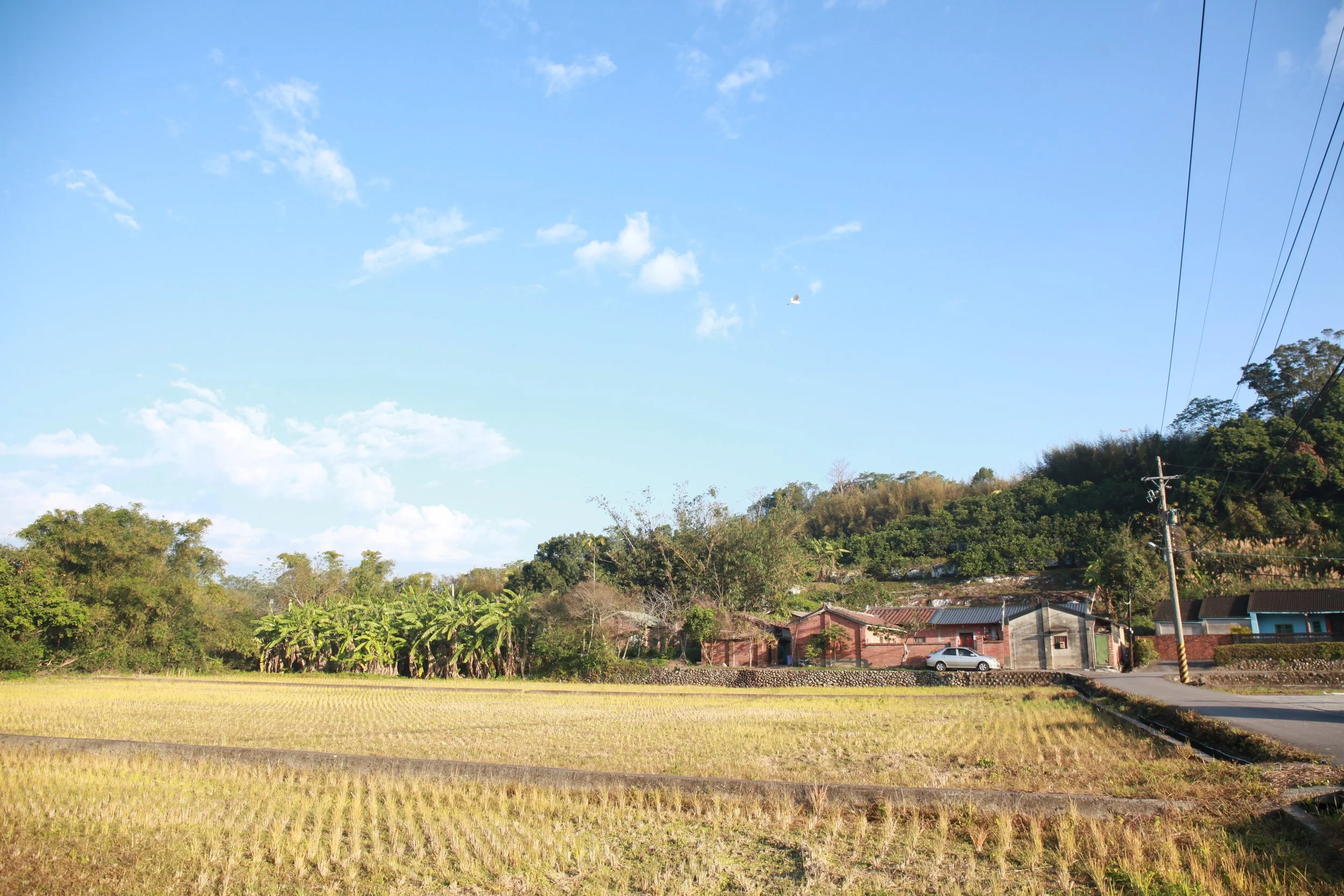 The scenery outside the studio