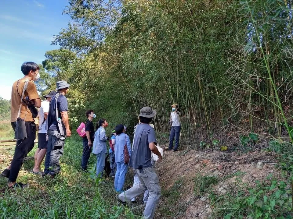 阿笠竹工於新竹縣峨眉鄉舉辦伐竹工作坊
Ali Bamboo held a bamboo harvesting workshop in Emei Township, Hsinchu County.