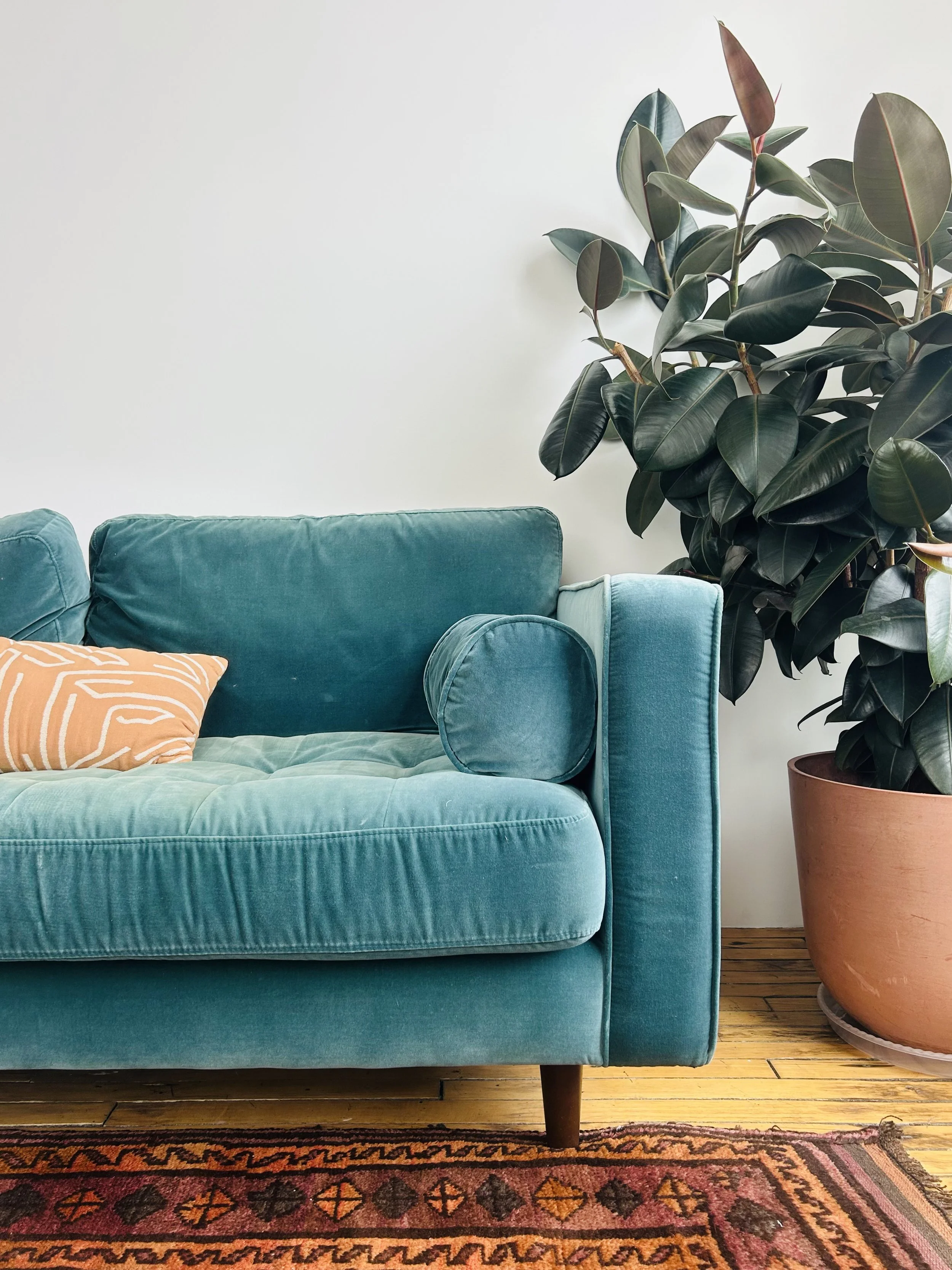 A teal velvet sofa with a green cushion and an orange patterned pillow, next to a large potted plant with dark green leaves, on an orange and black patterned rug, in a room with a hardwood floor and a cream-colored wall.