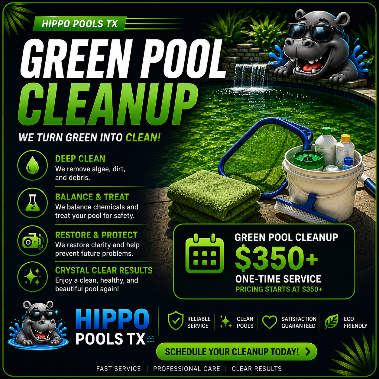Green Pool Cleanup