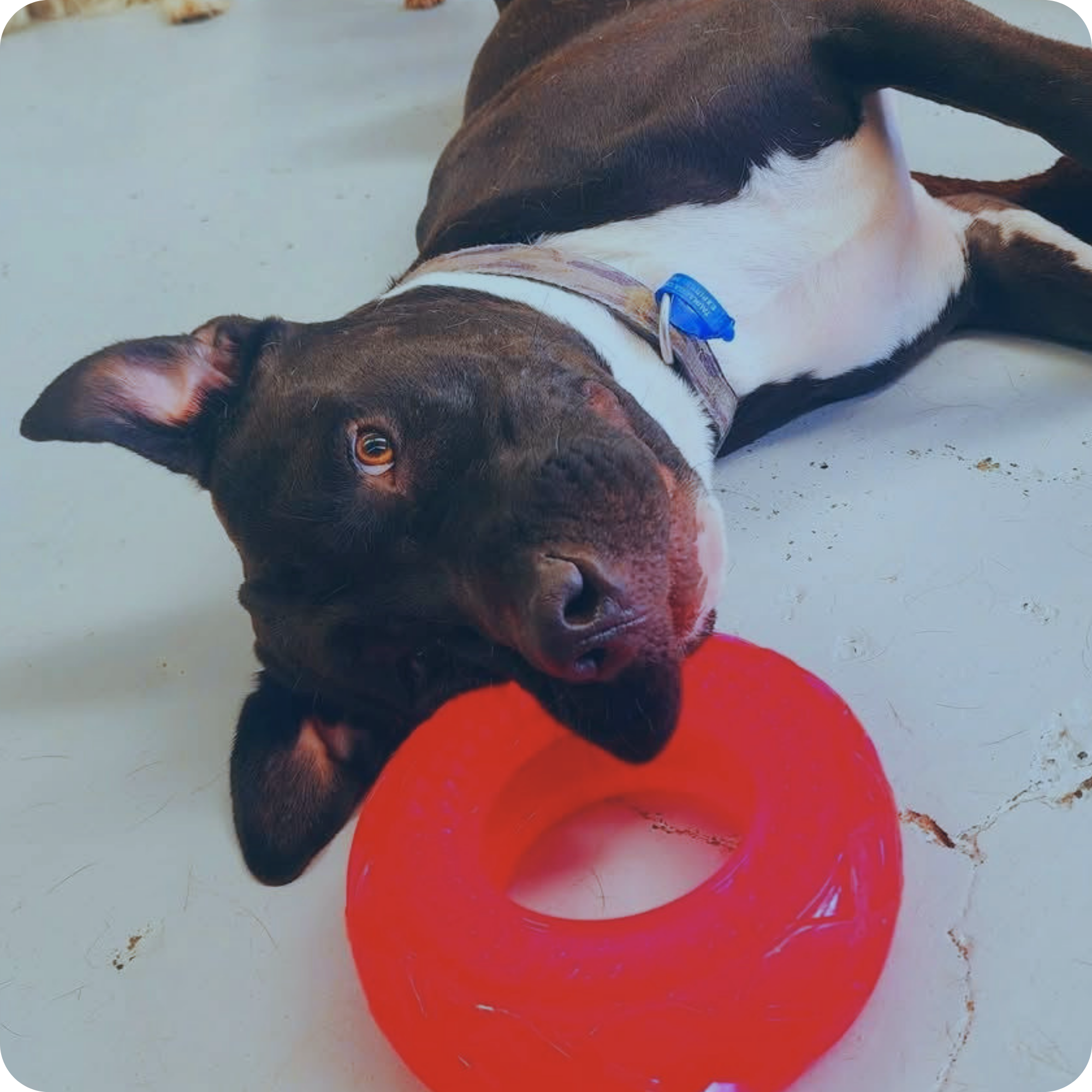 My EstiMate project manager