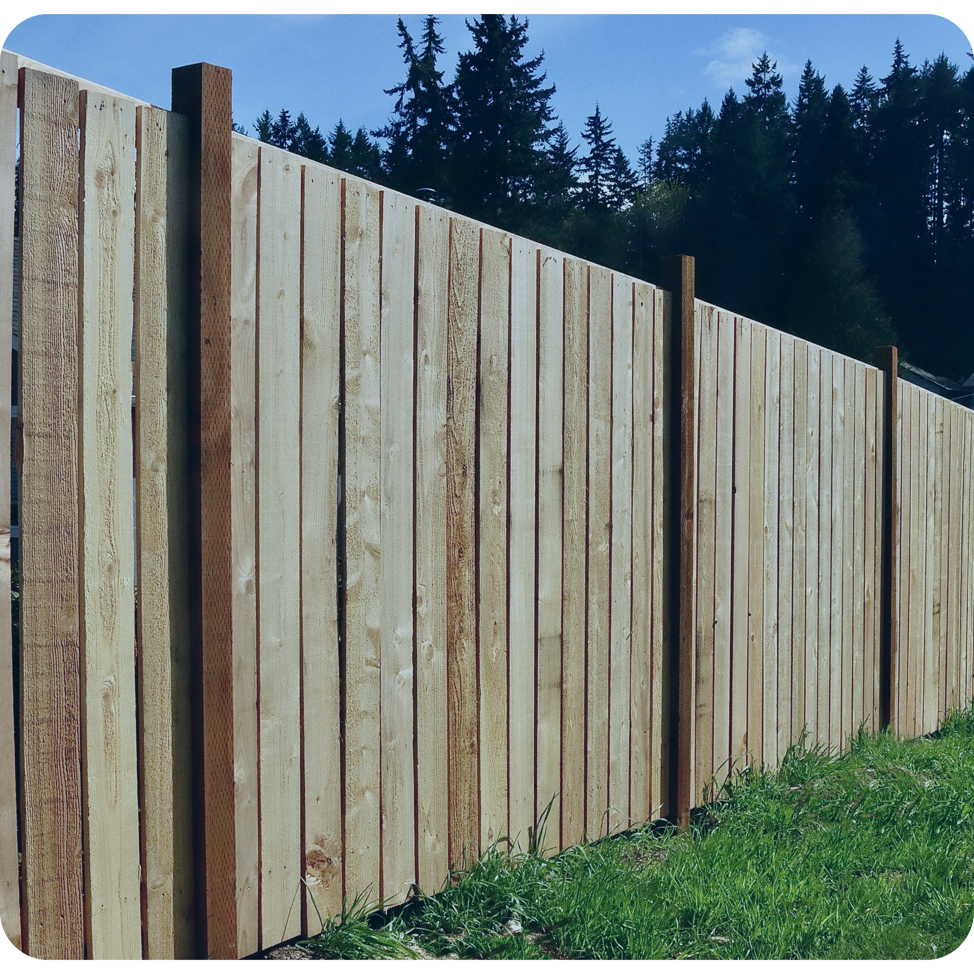 Timber perimeter fencing and site boundary construction for a $190K residential development project in Blenheim, measured and cost-estimated by My EstiMate.
