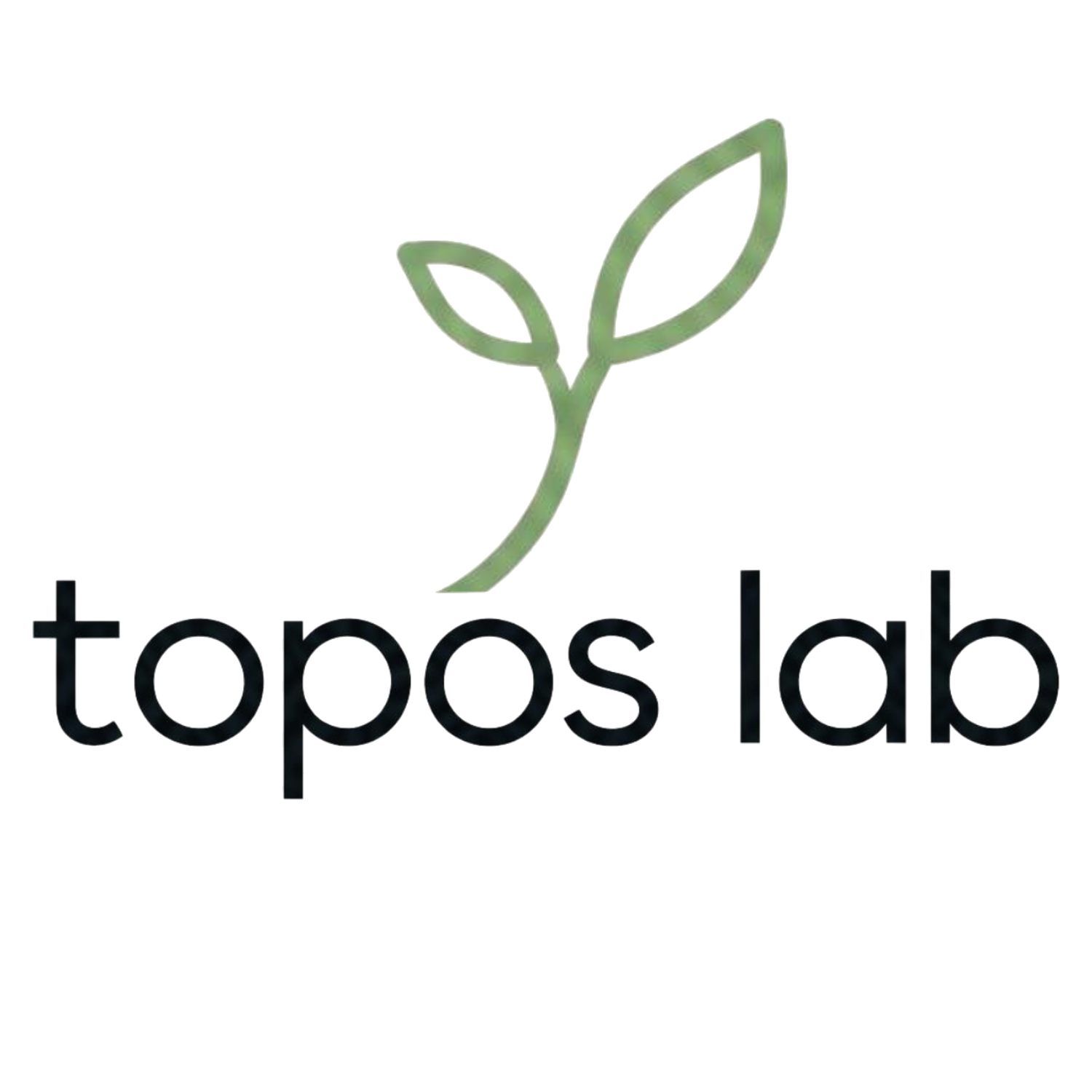 TOPOS LAB