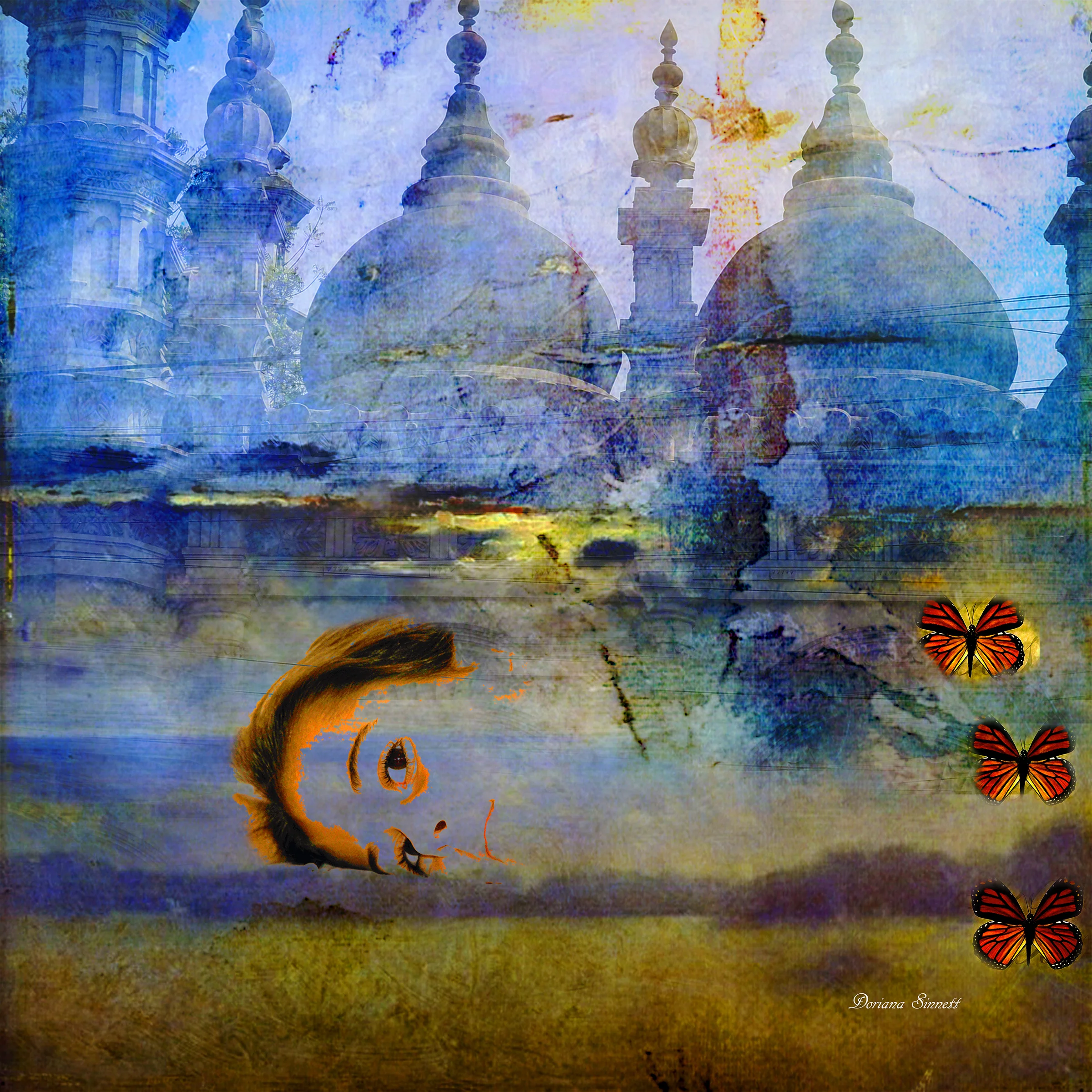BUTTERFLY EFFECT...3rd Place