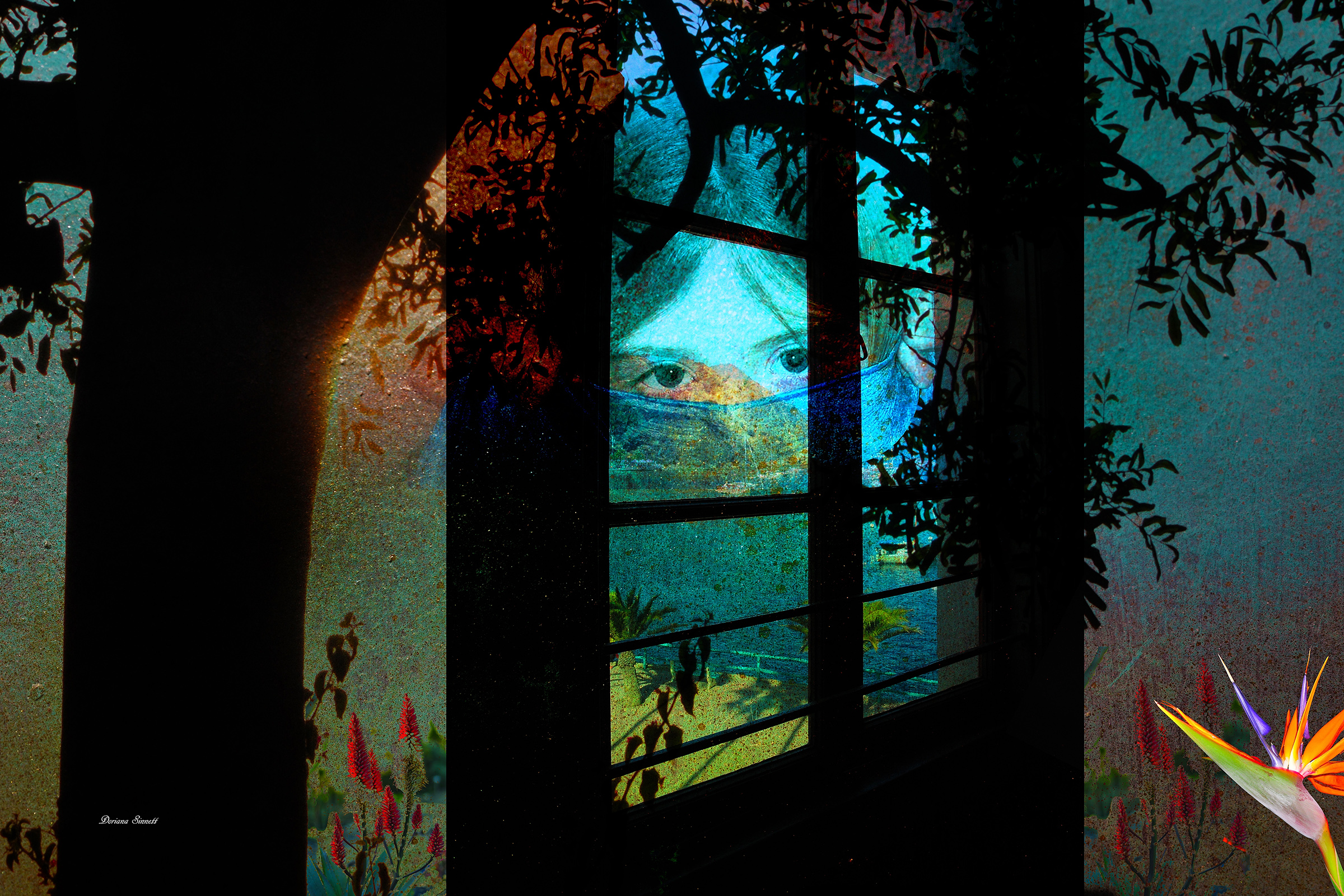 Forbidden Garden…