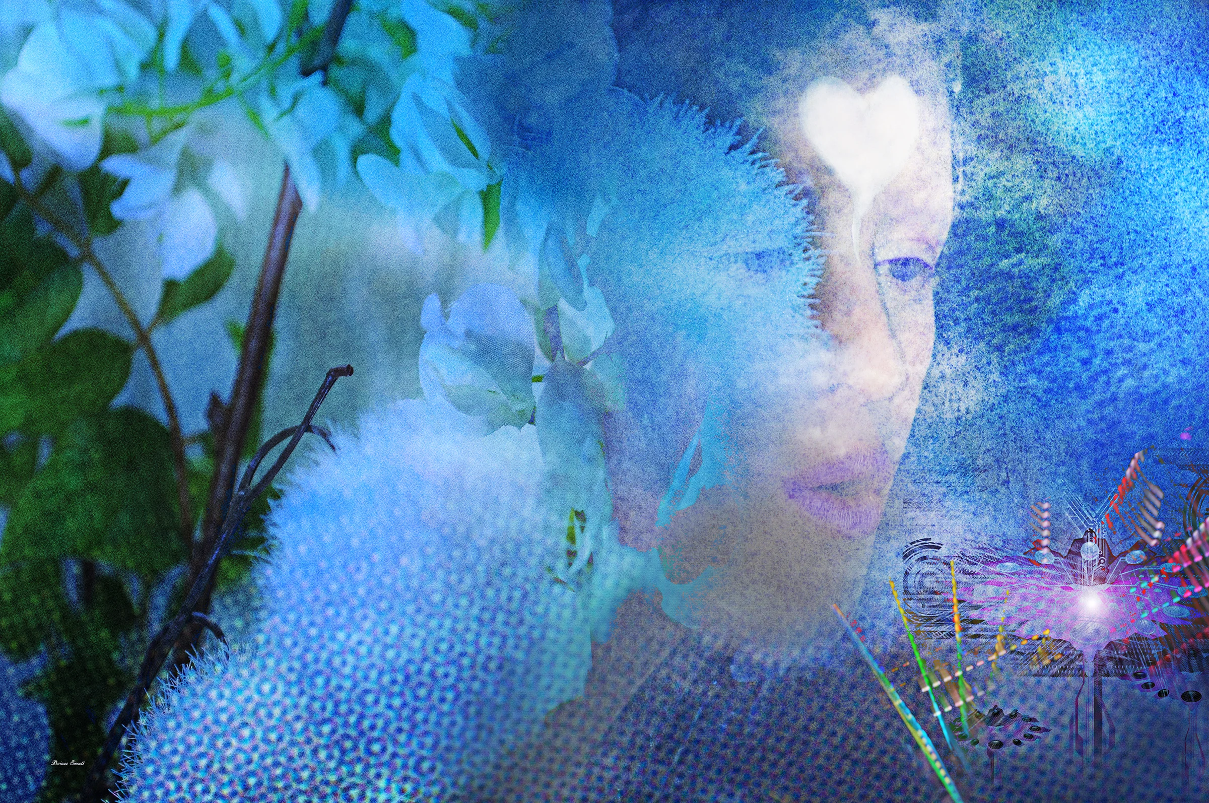 Blowing In The Wind…