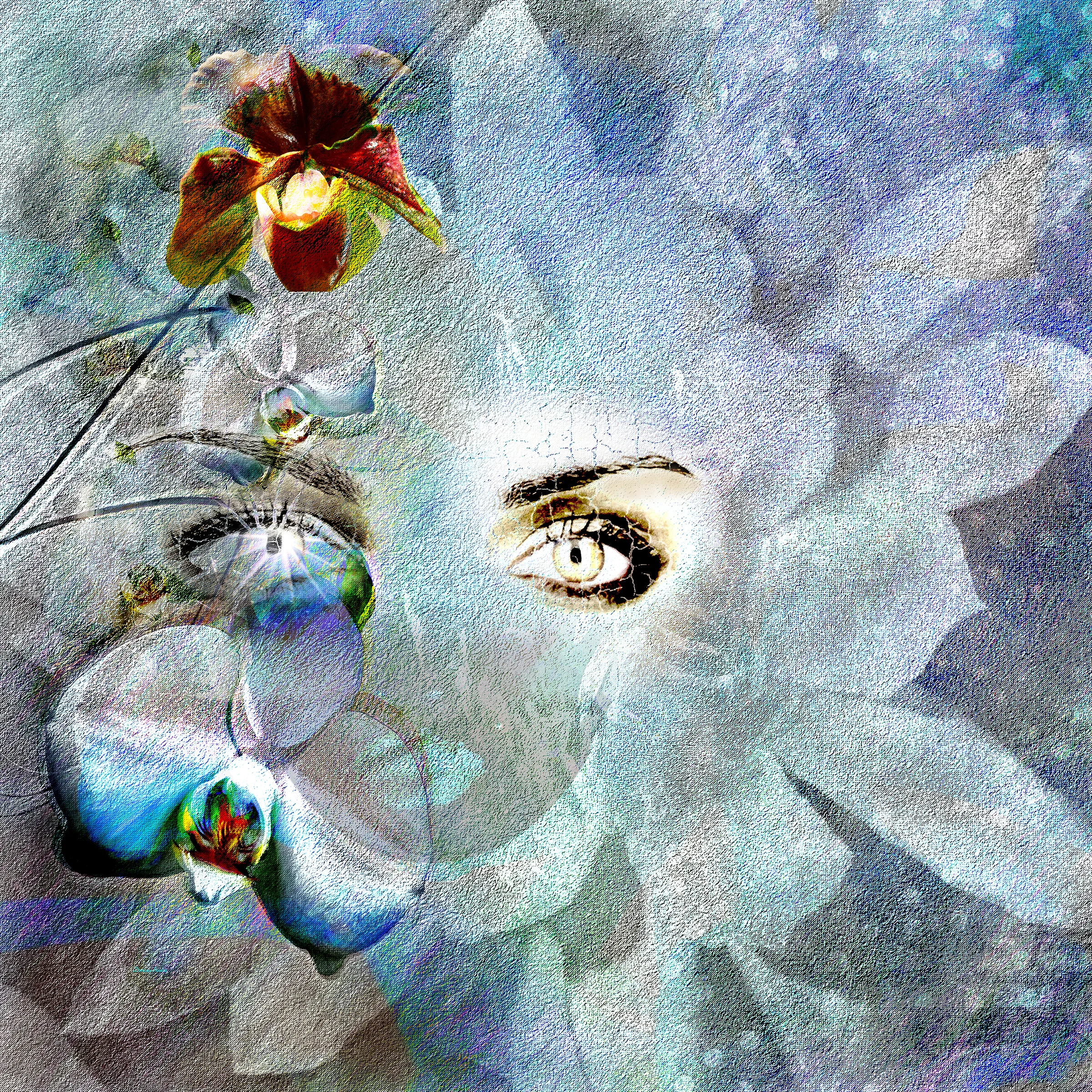 DorianaSinnett_Orchid Diva_.jpg
