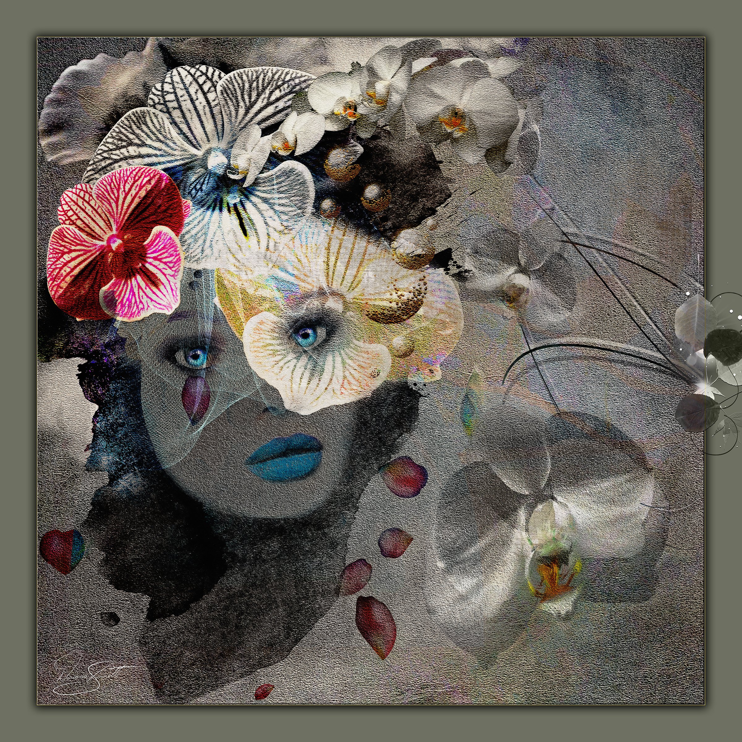 Orchid Eyes
