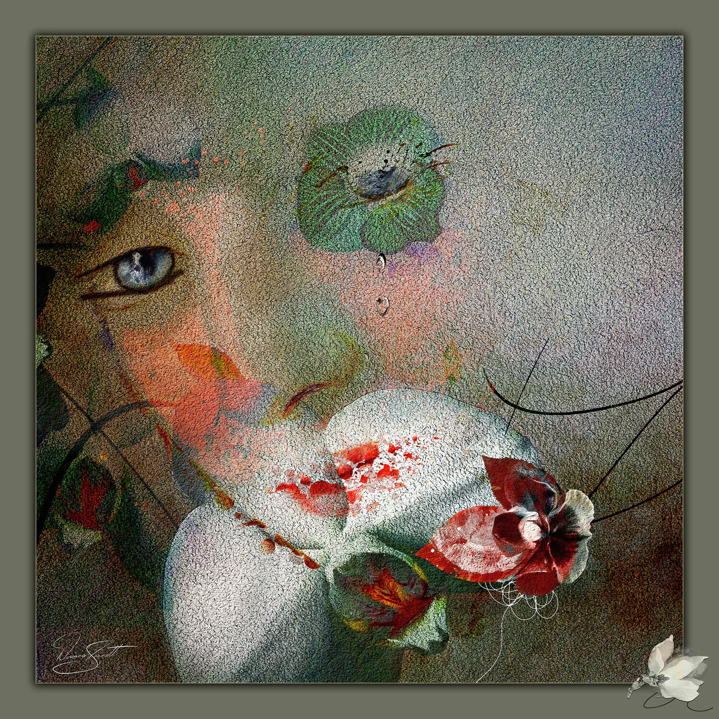 Orchid Tears